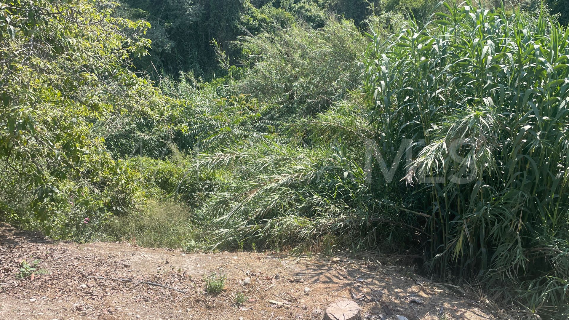 Finca for sale in Coin