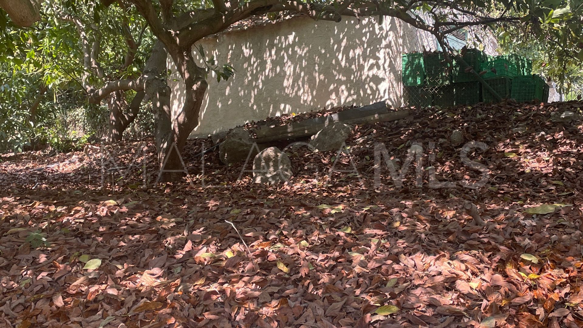 Finca for sale in Coin