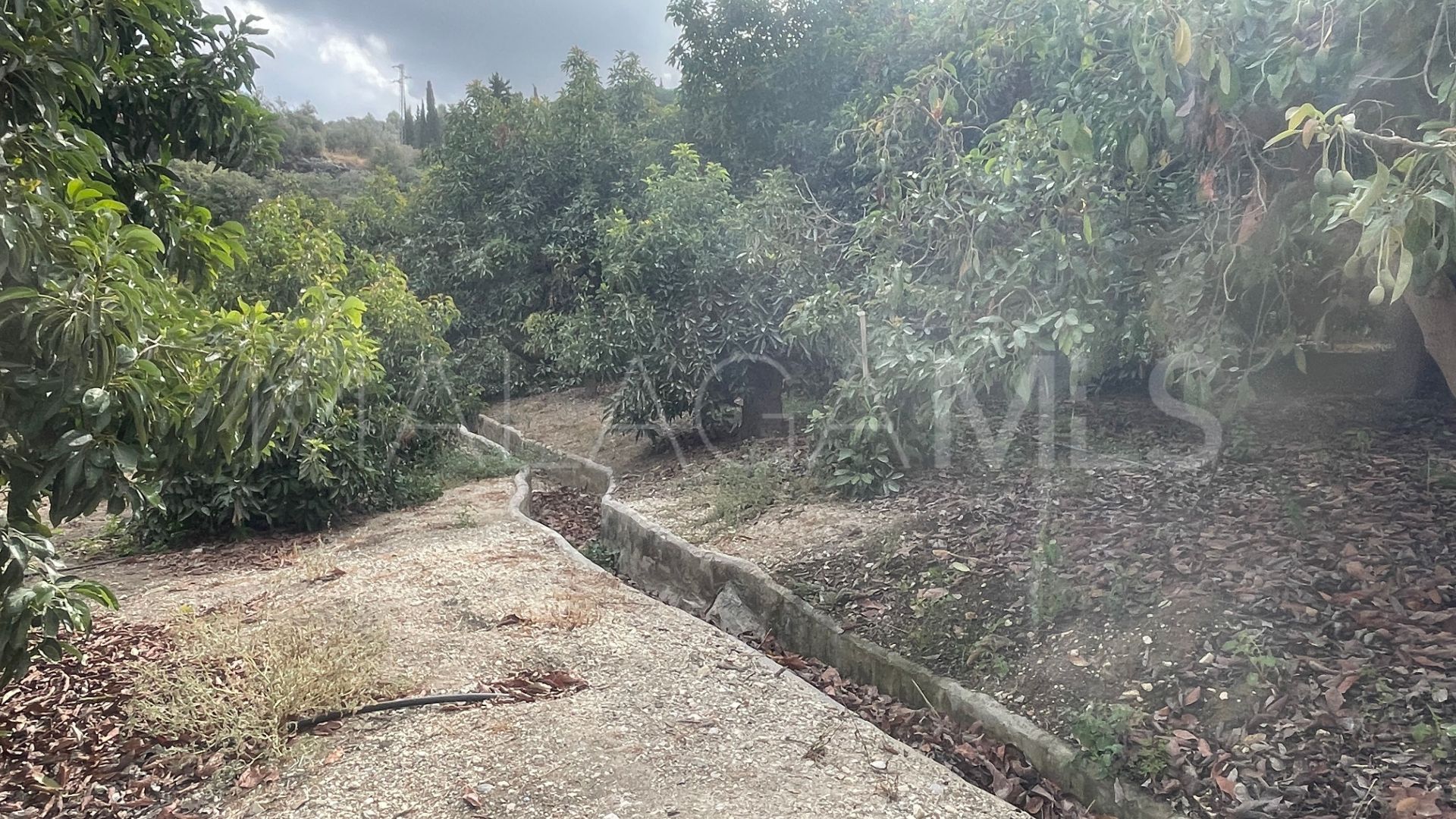 Finca for sale in Coin