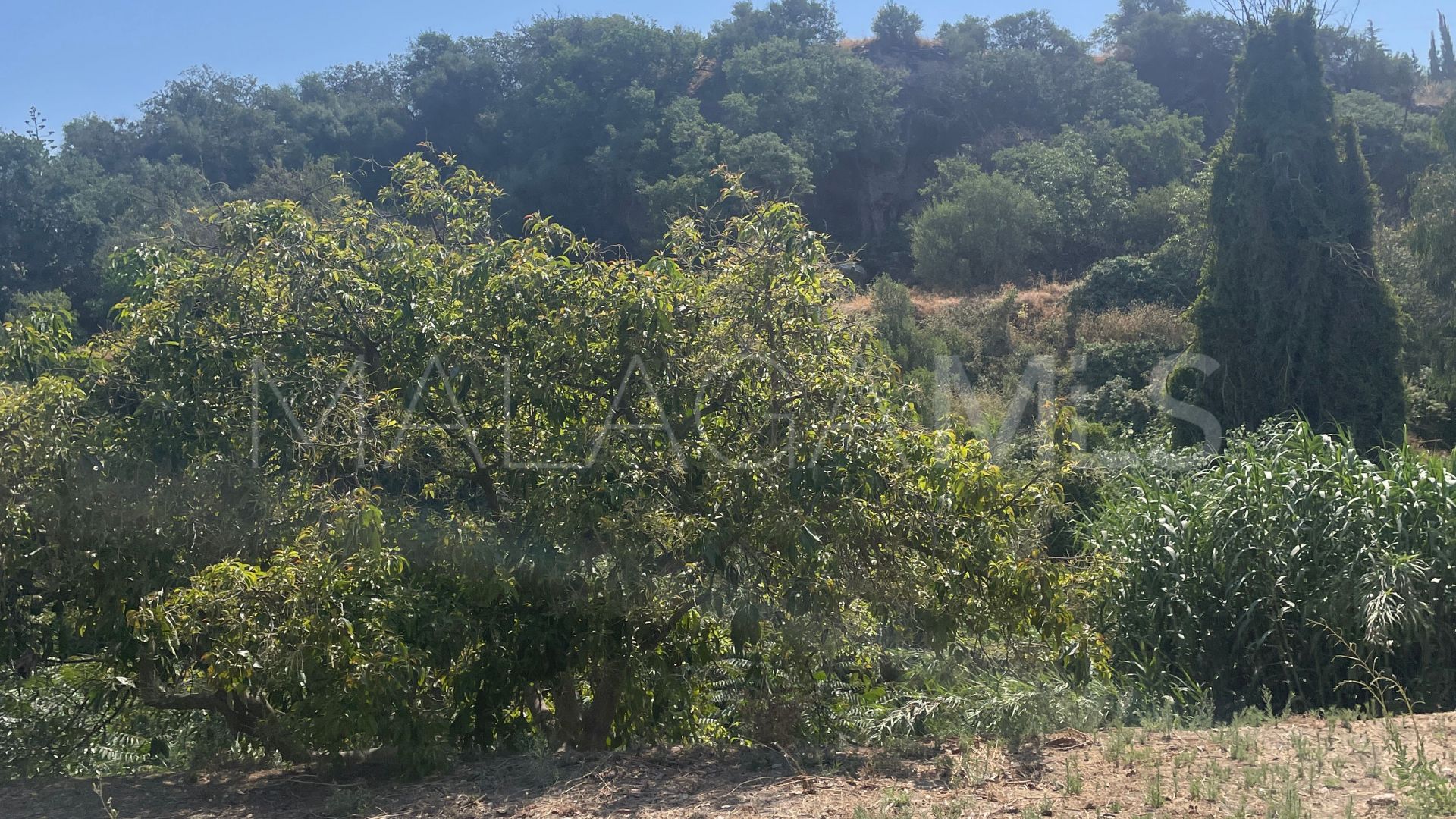 Finca for sale in Coin