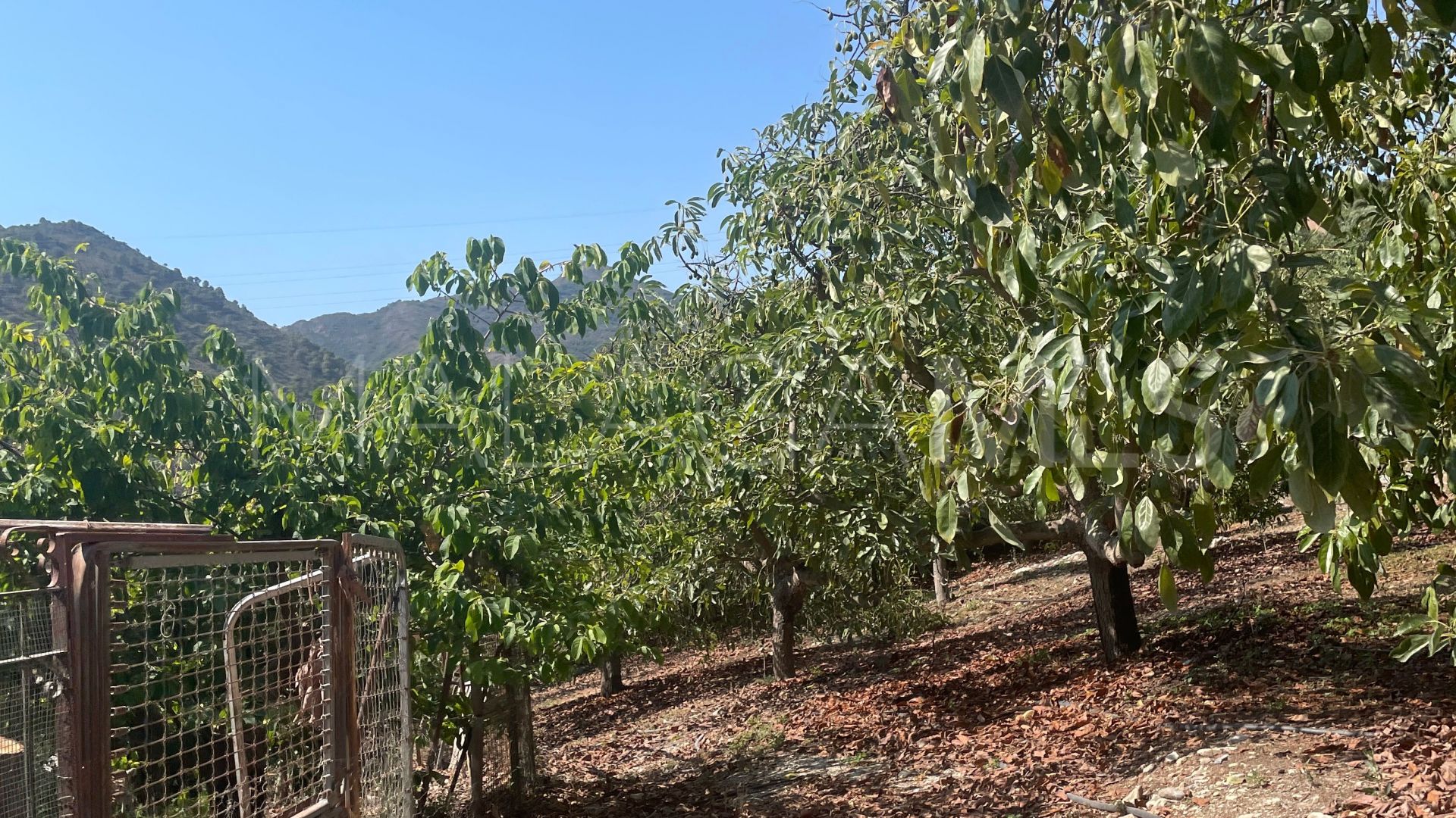 Finca for sale in Coin