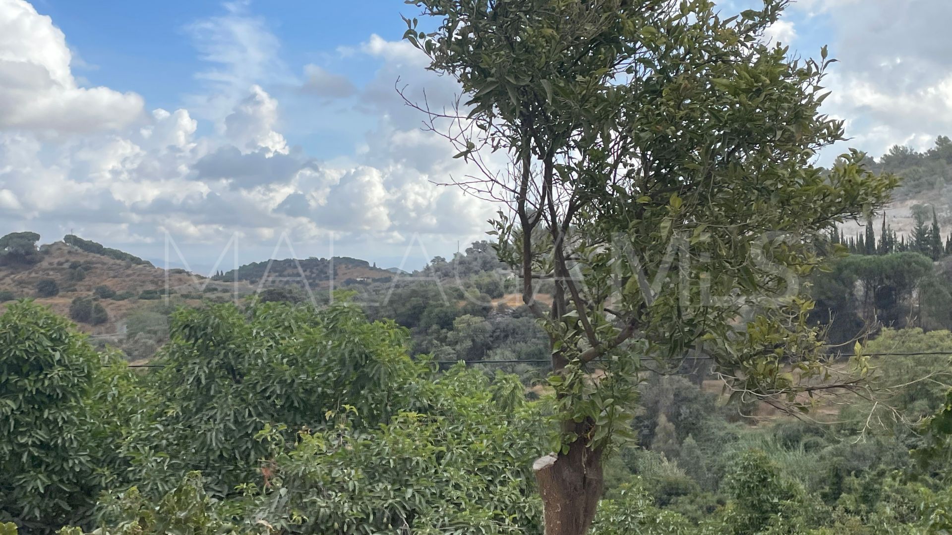 Finca for sale in Coin