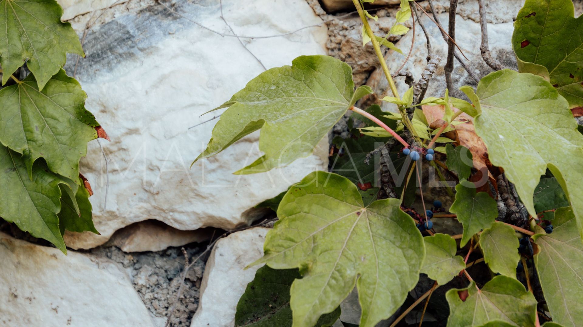 Pinos de Alhaurín, villa for sale