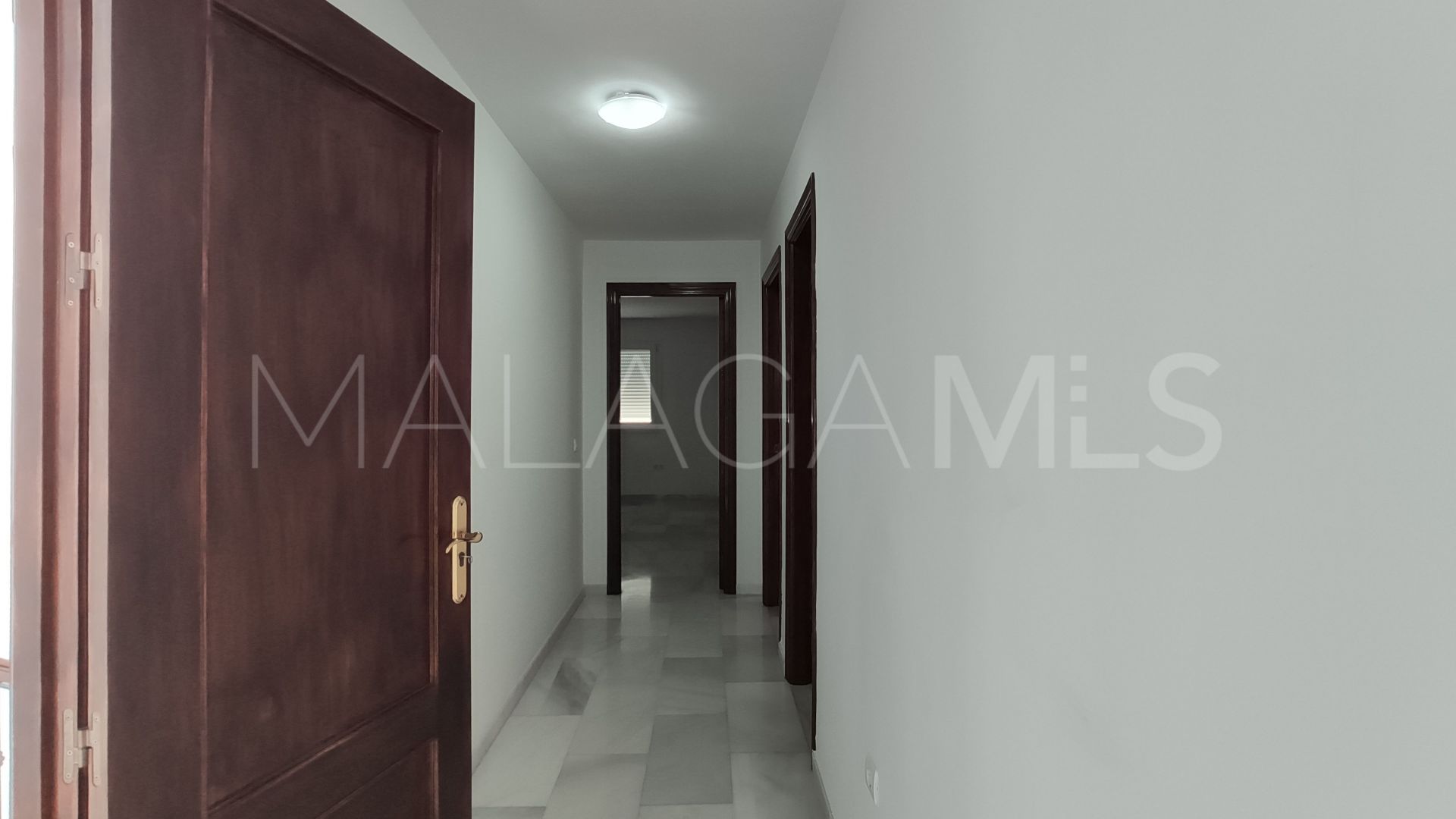 Buy Pizarra house