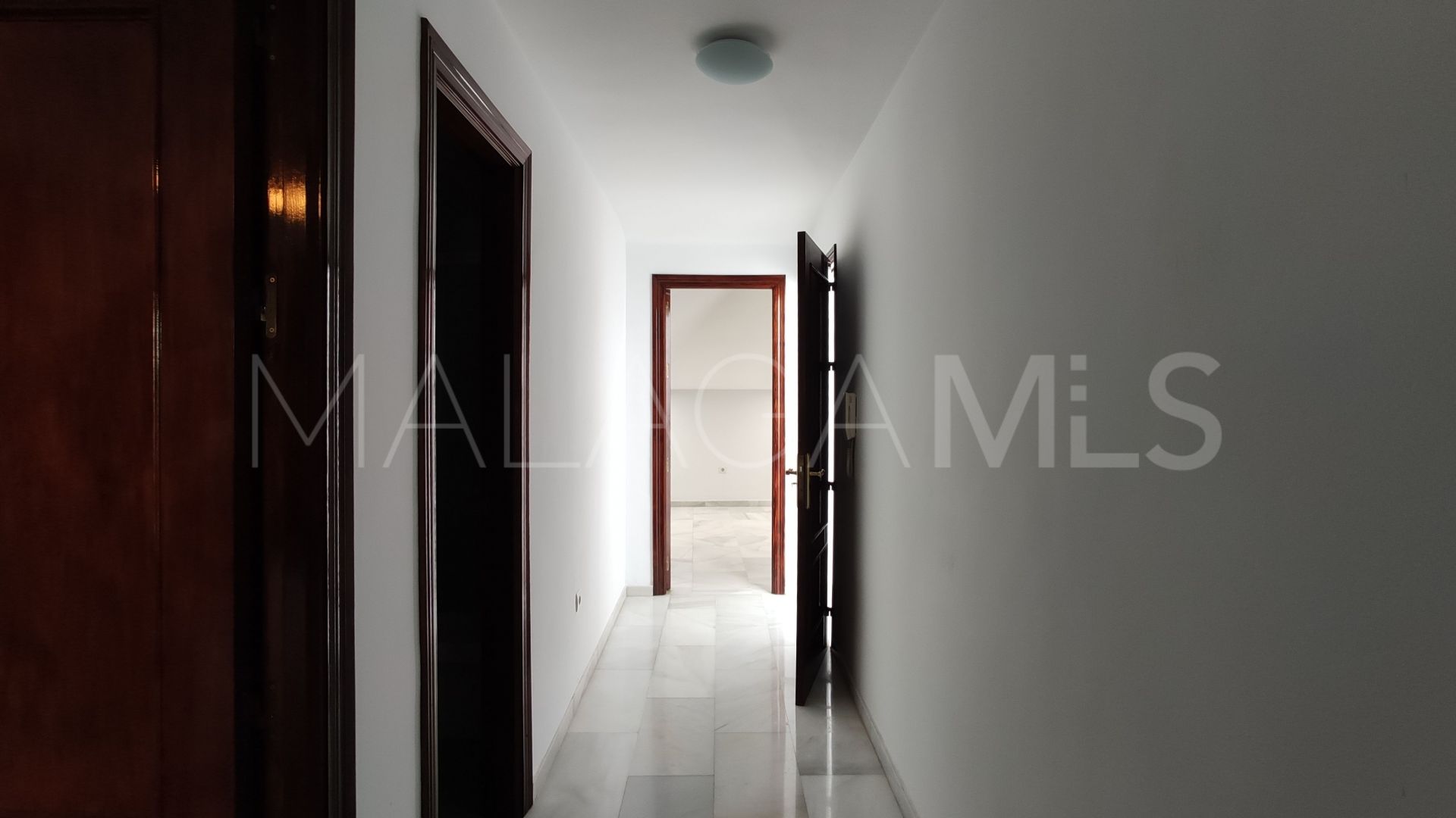 Buy Pizarra house