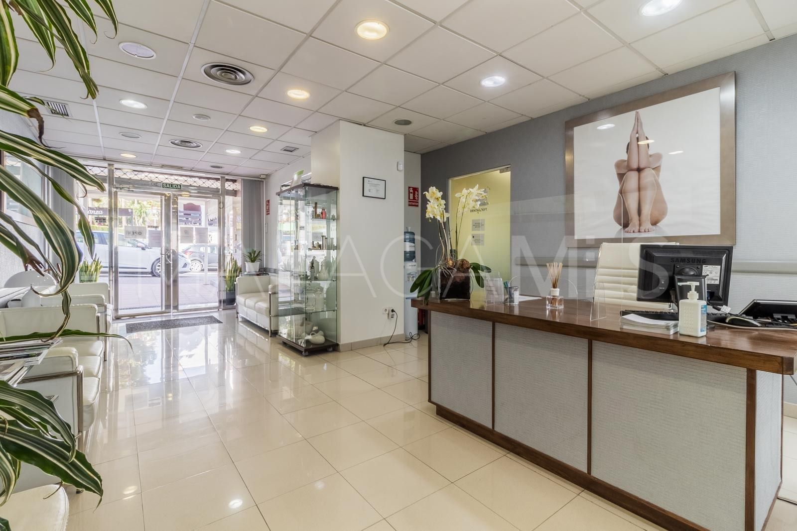 Buy 10 bedrooms commercial premises in Nueva Andalucia