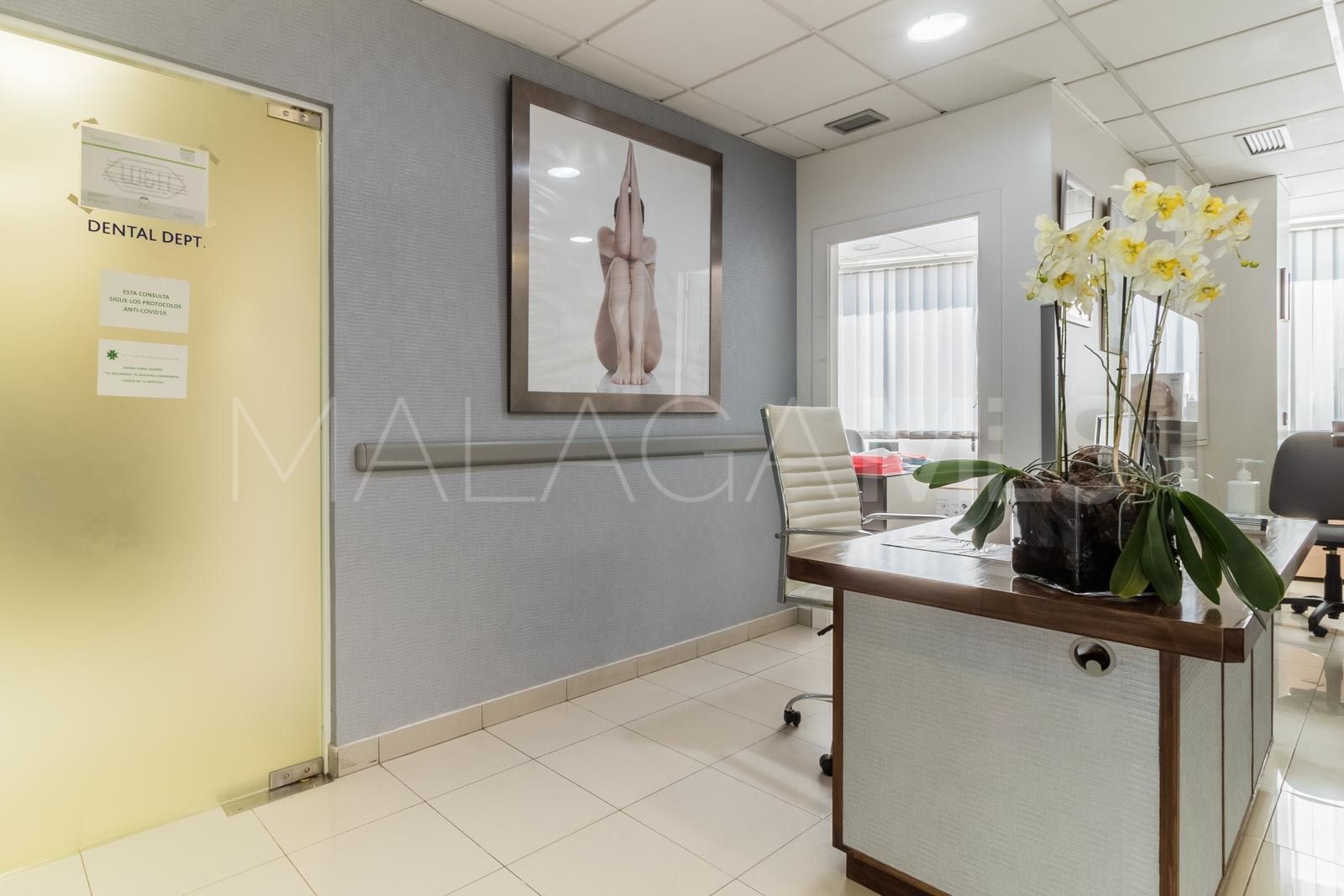 Buy 10 bedrooms commercial premises in Nueva Andalucia