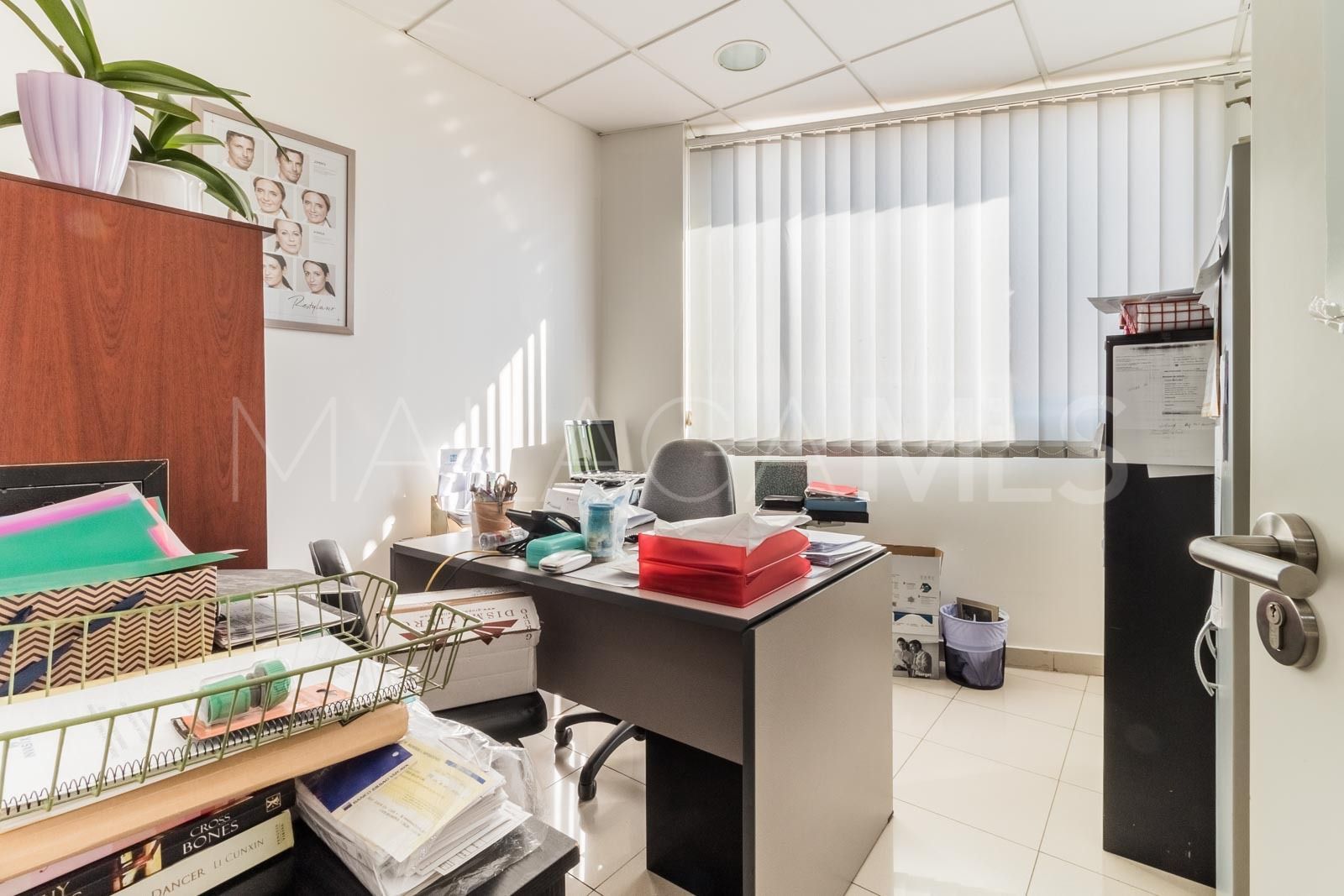 Buy 10 bedrooms commercial premises in Nueva Andalucia