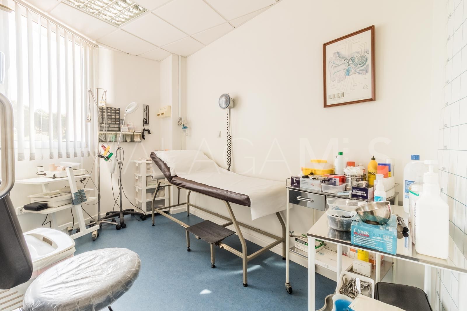 Buy 10 bedrooms commercial premises in Nueva Andalucia