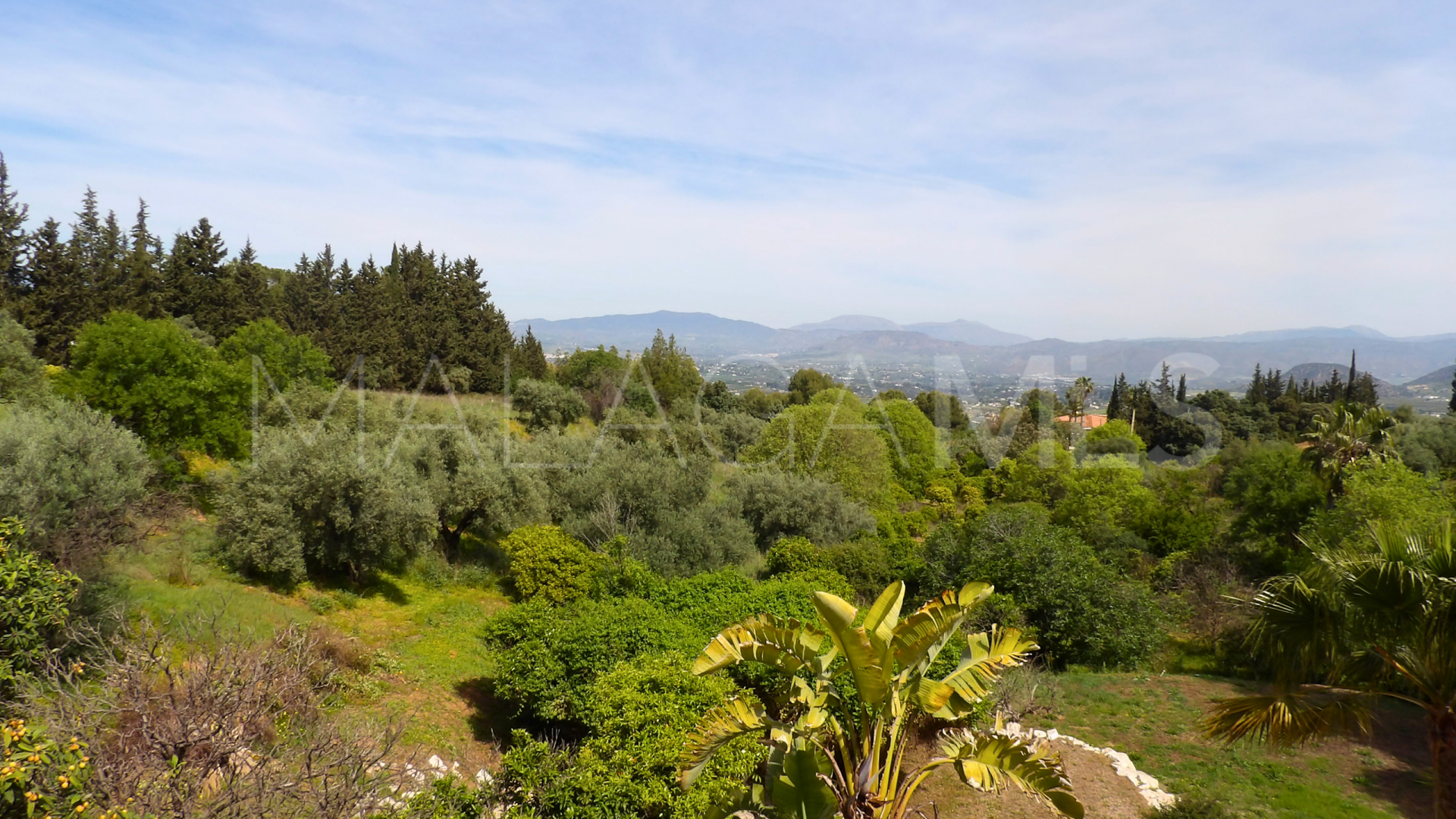 Villa in Alhaurin el Grande for sale