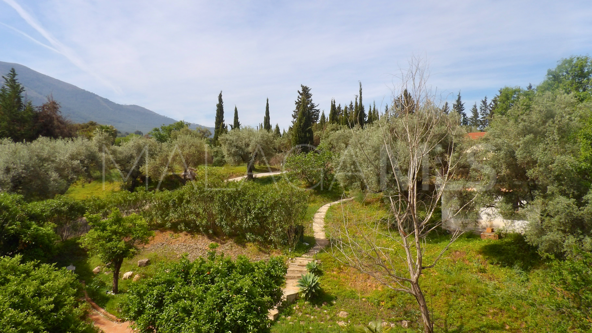 Villa in Alhaurin el Grande for sale