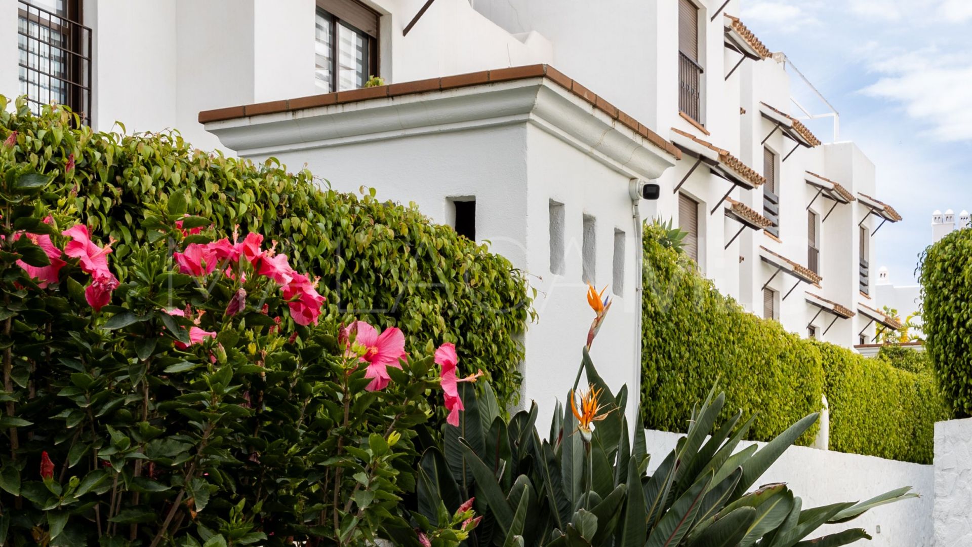 Appartement rez de chaussée for sale in Estepona Est