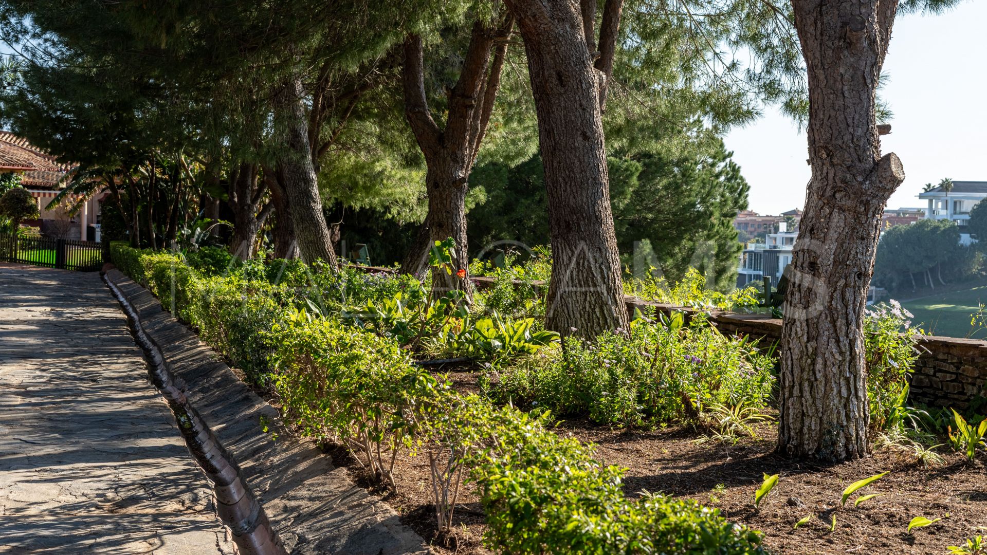 Mansion for sale in Altos del Paraiso