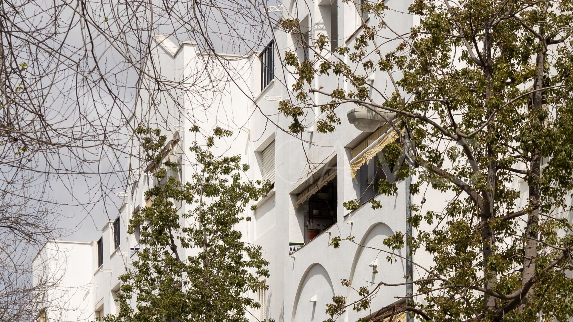 Kommersiella lokaler for sale in San Pedro de Alcantara