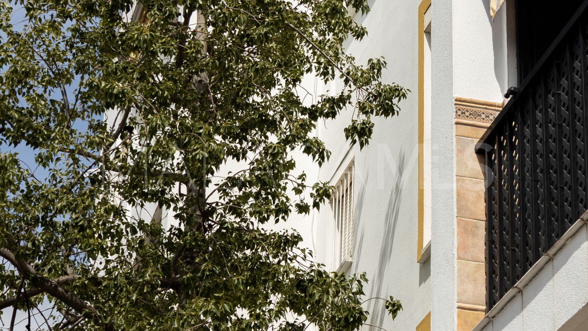 Kommersiella lokaler for sale in San Pedro de Alcantara