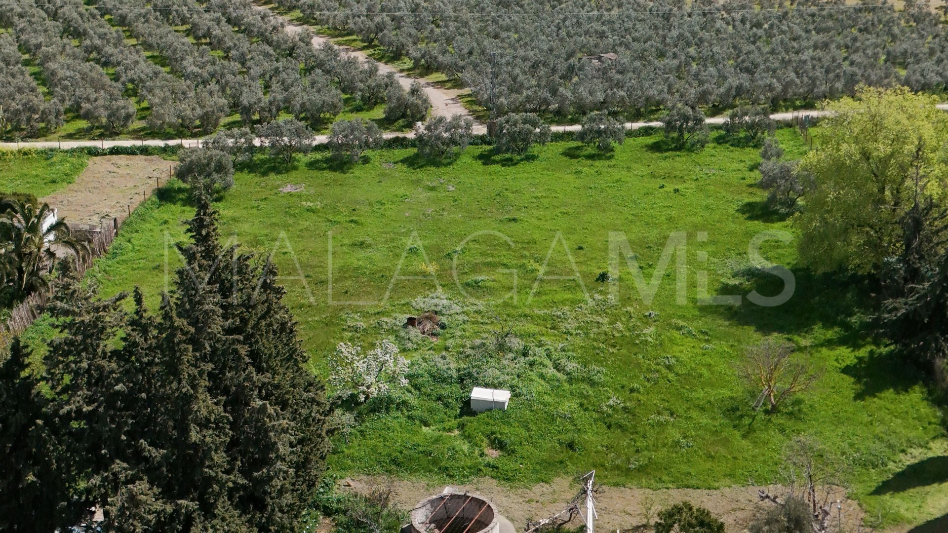 Finca for sale in Antequera