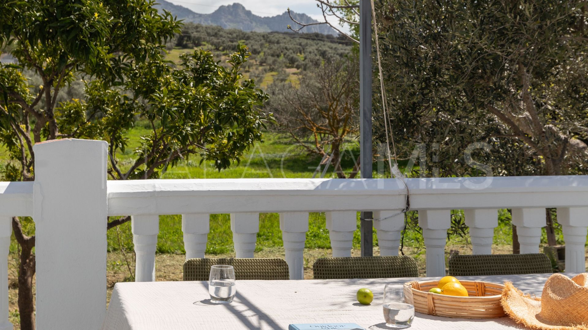 Finca for sale in Antequera