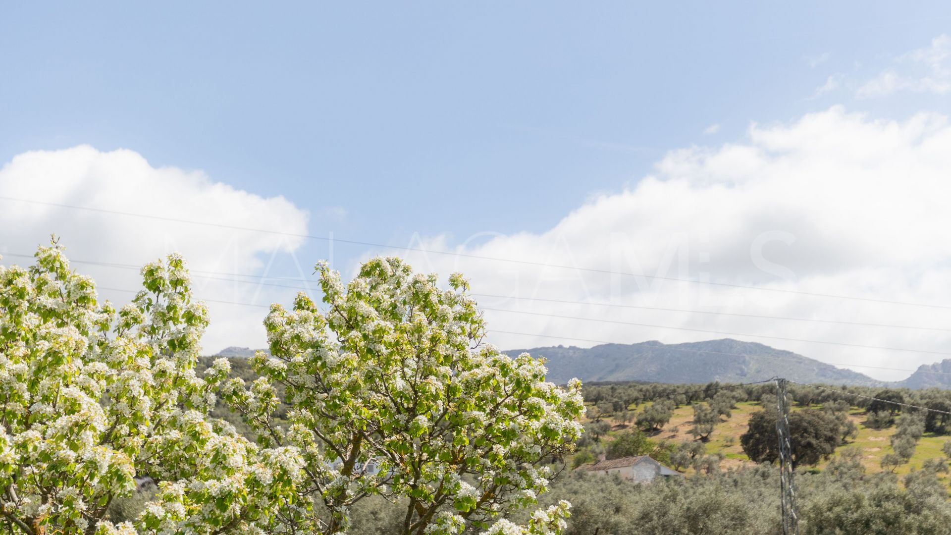 Finca for sale in Antequera