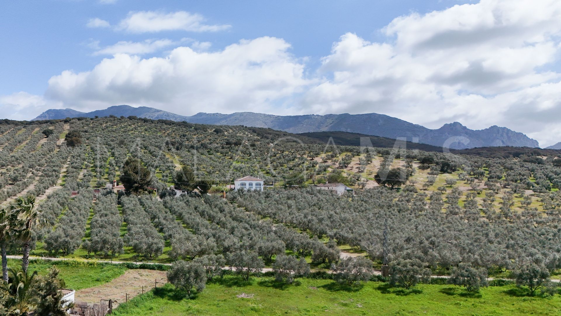 Finca for sale in Antequera