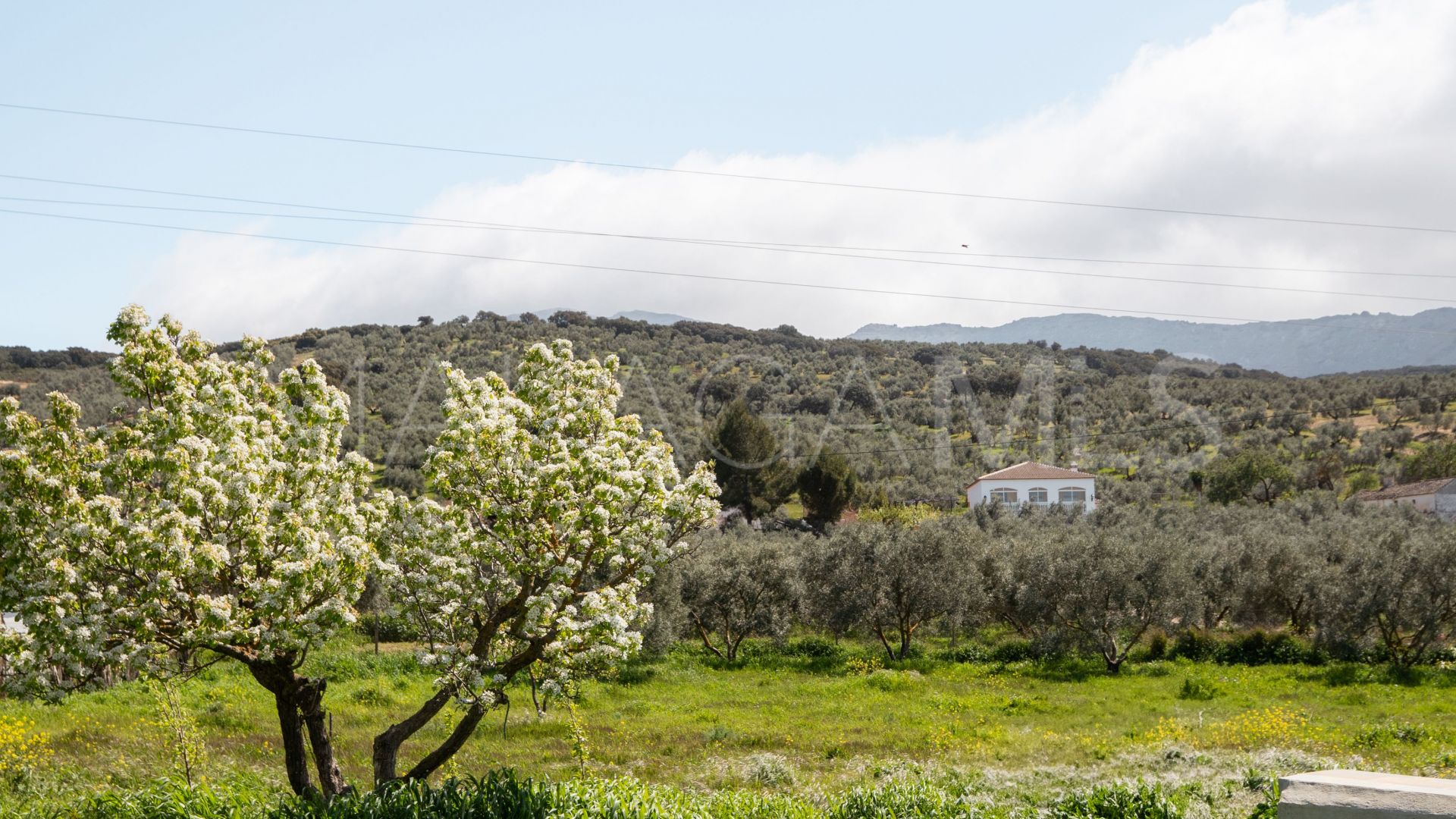Finca for sale in Antequera