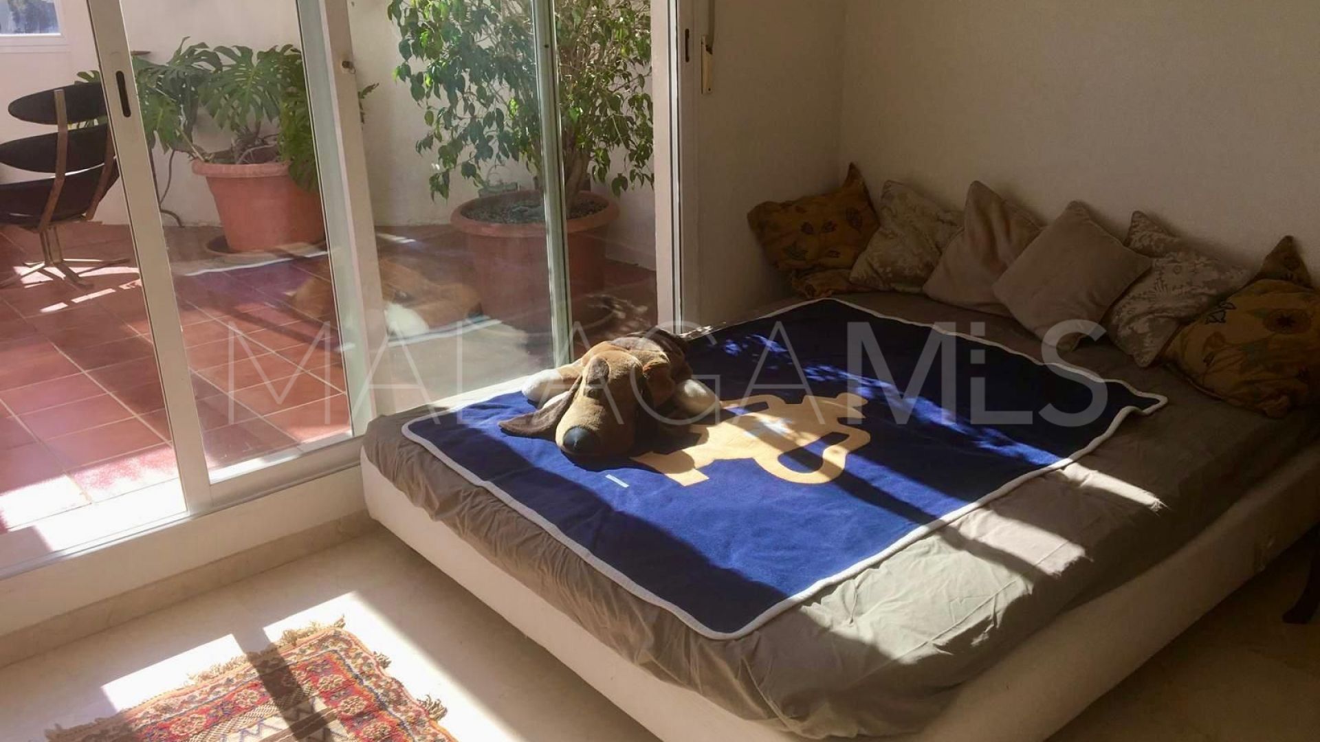 San Pedro de Alcantara duplex penthouse for sale