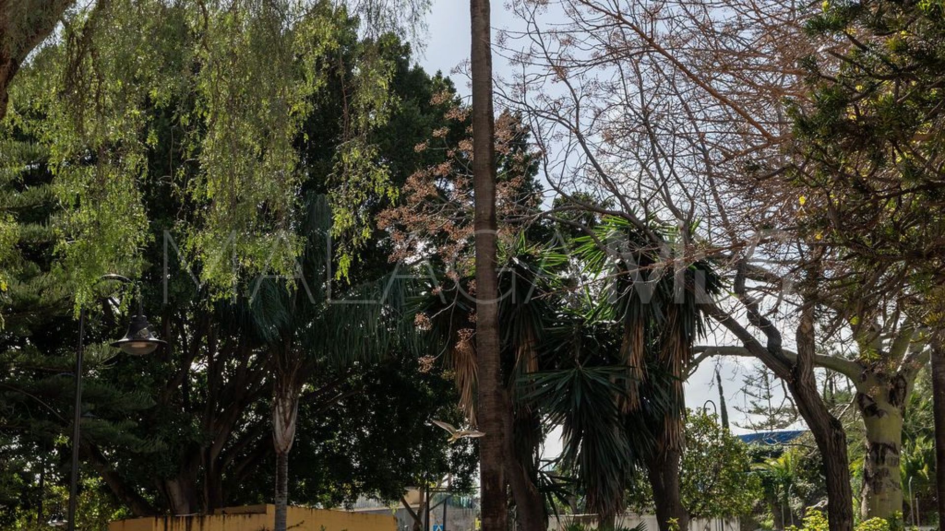 Appartement for sale in Las Lagunas