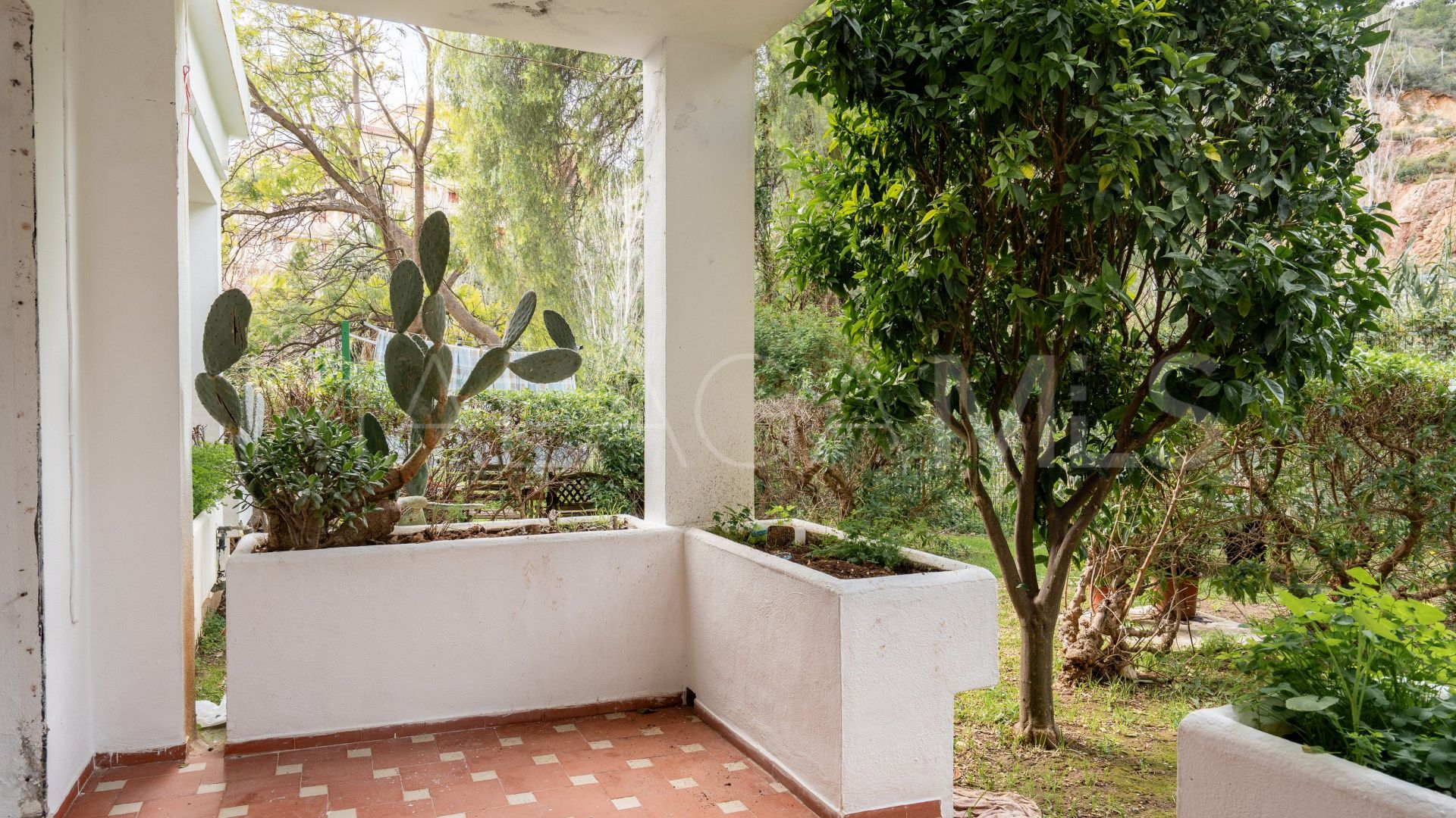 Ground floor apartment for sale in Los Pacos