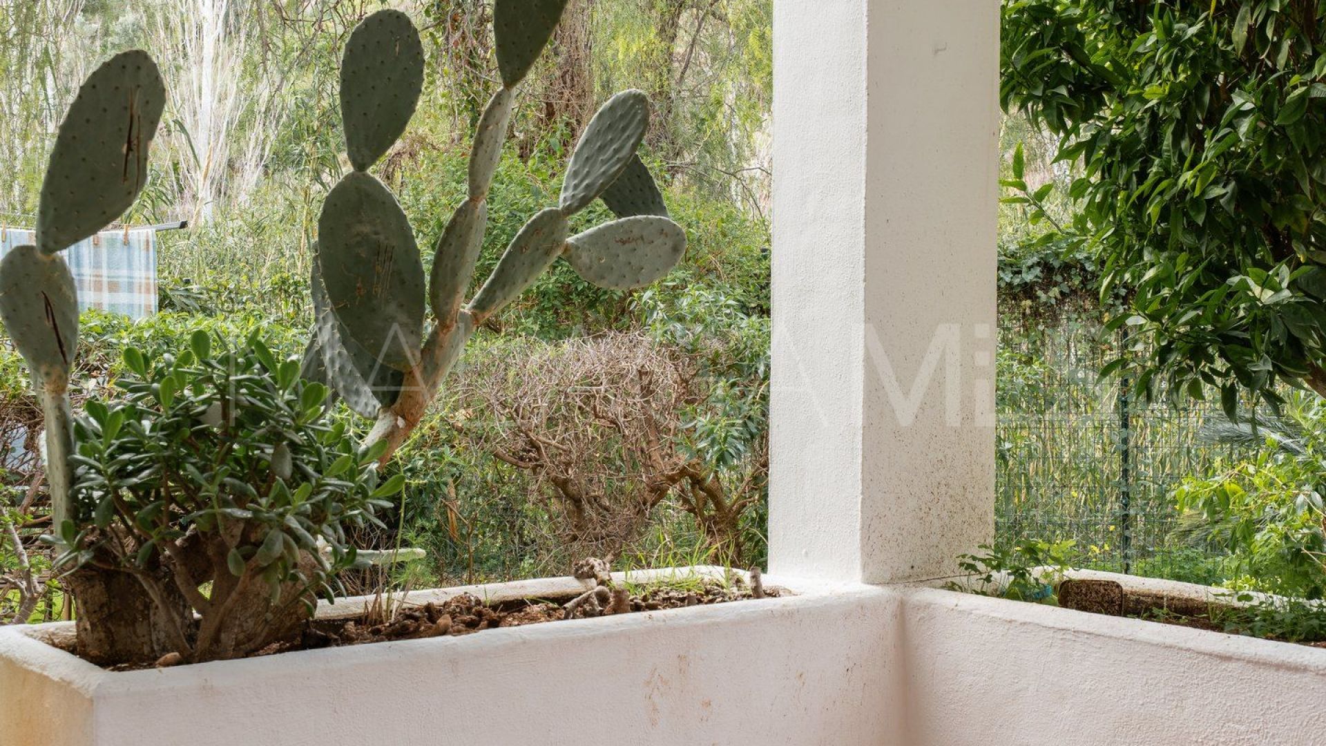 Ground floor apartment for sale in Los Pacos