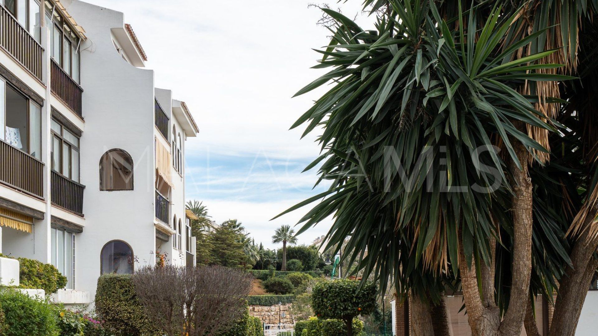 Ground floor apartment for sale in Los Pacos