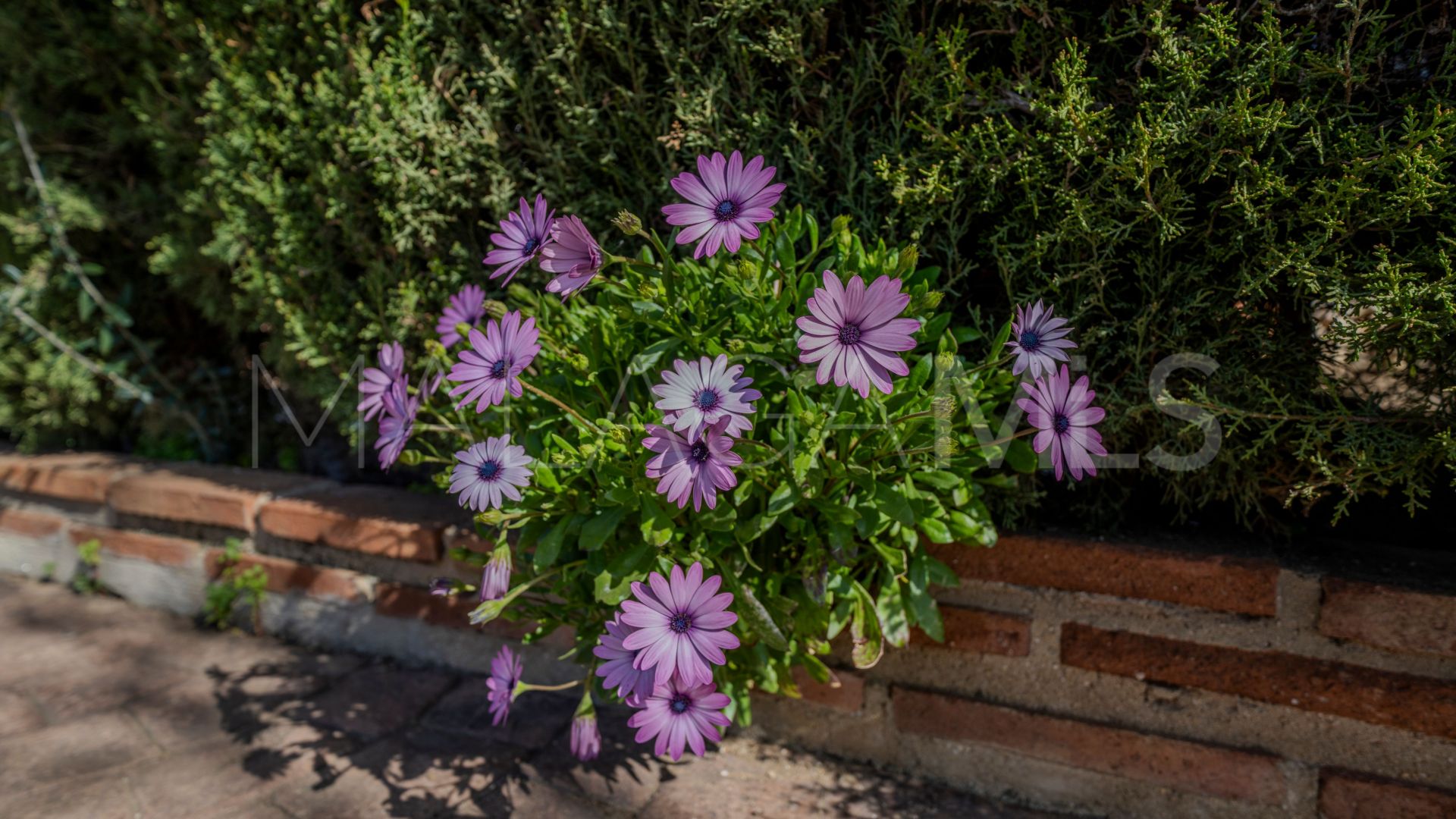 For sale Entrerrios semi detached house with 4 bedrooms