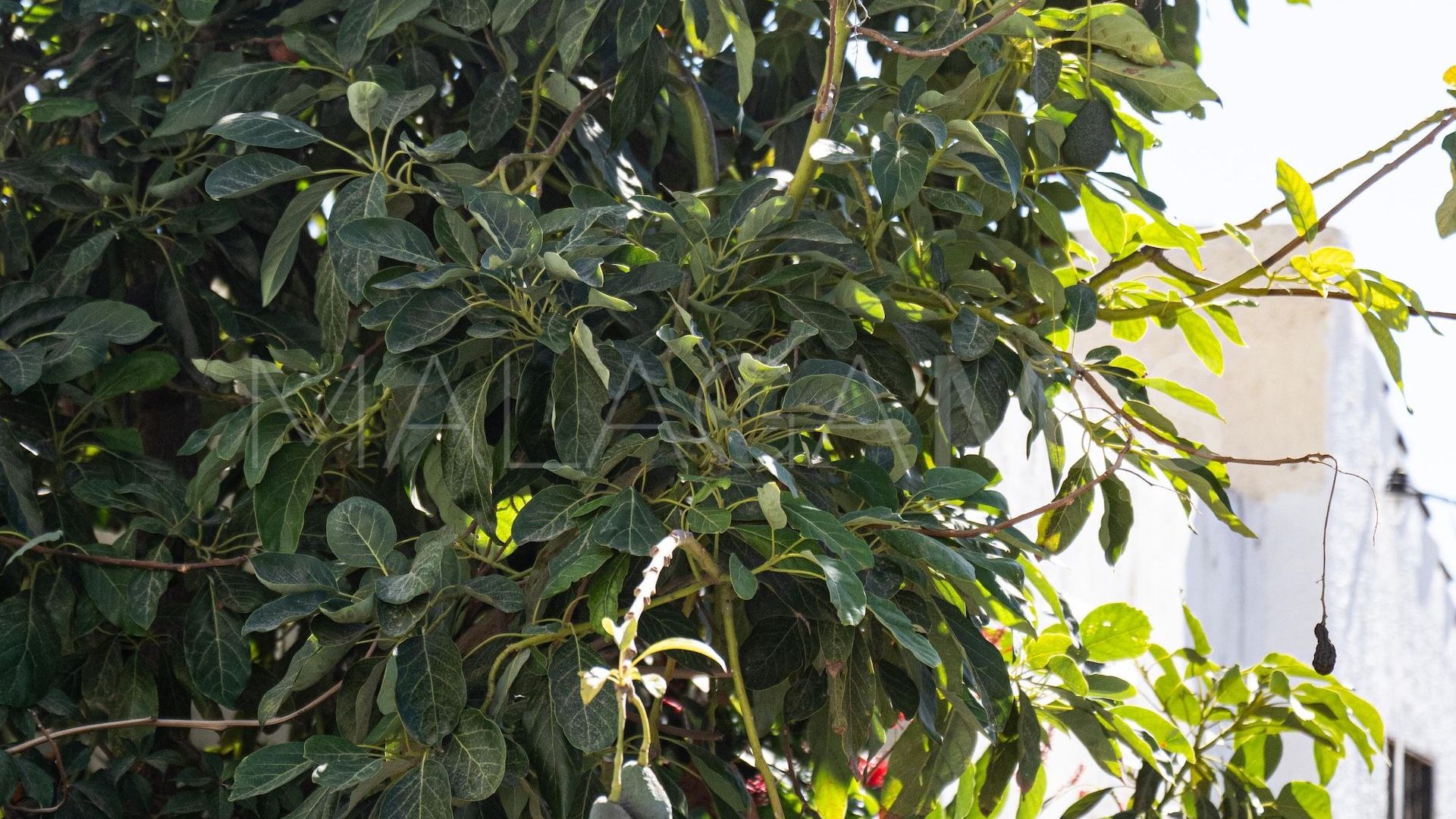 Apartment for sale in Estepona East with 1 bedroom