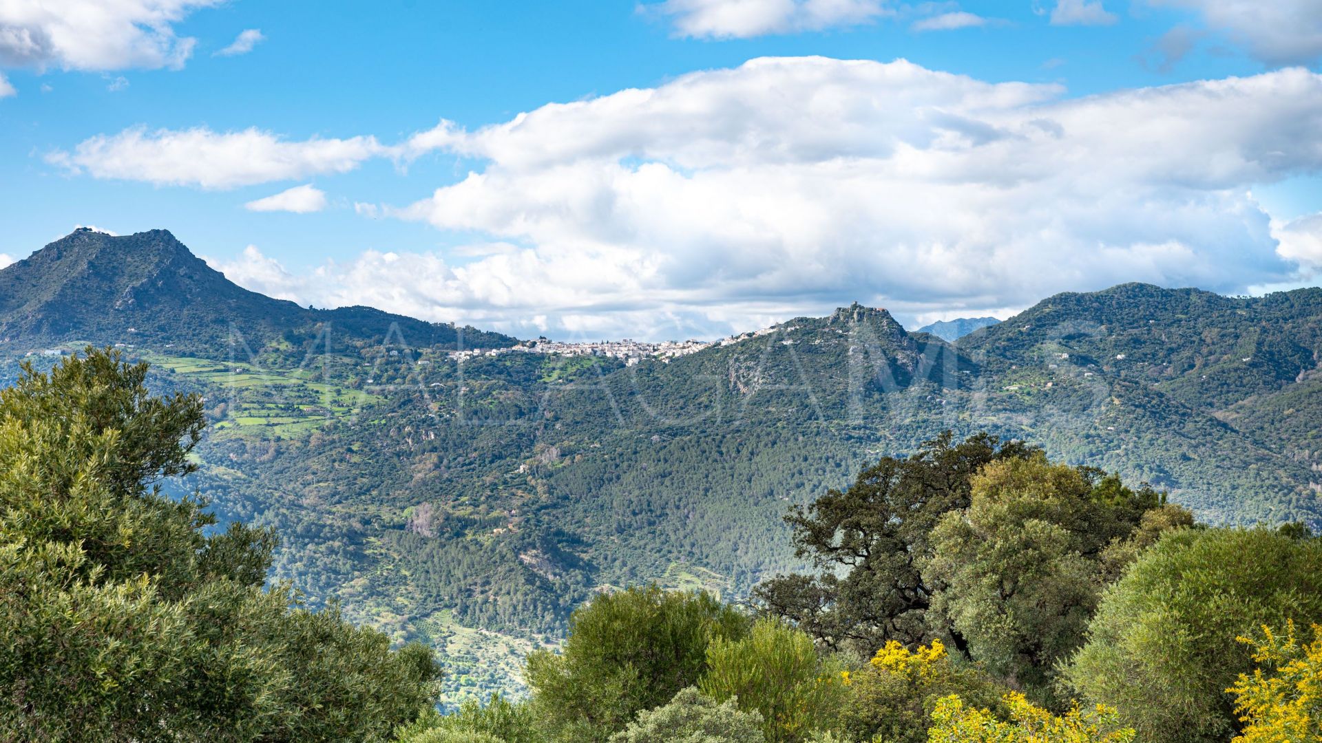 5 bedrooms Casares country house for sale