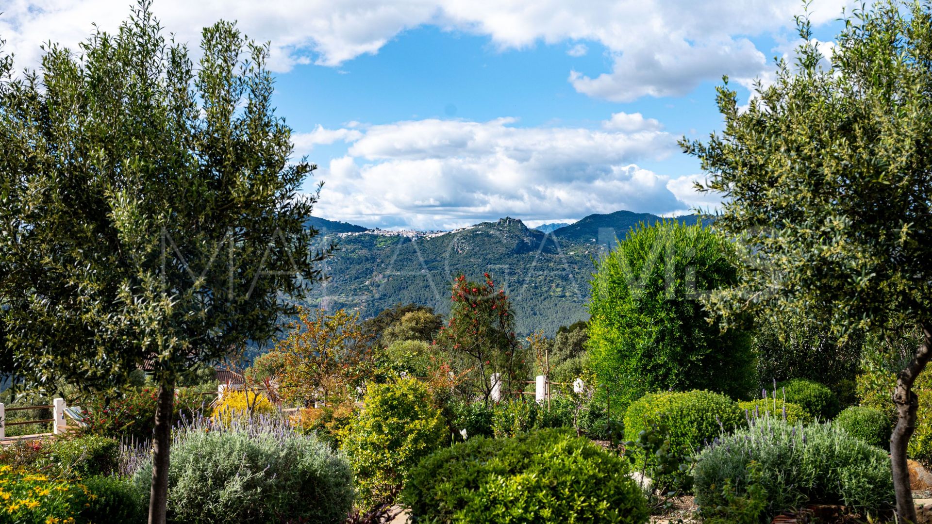 5 bedrooms Casares country house for sale