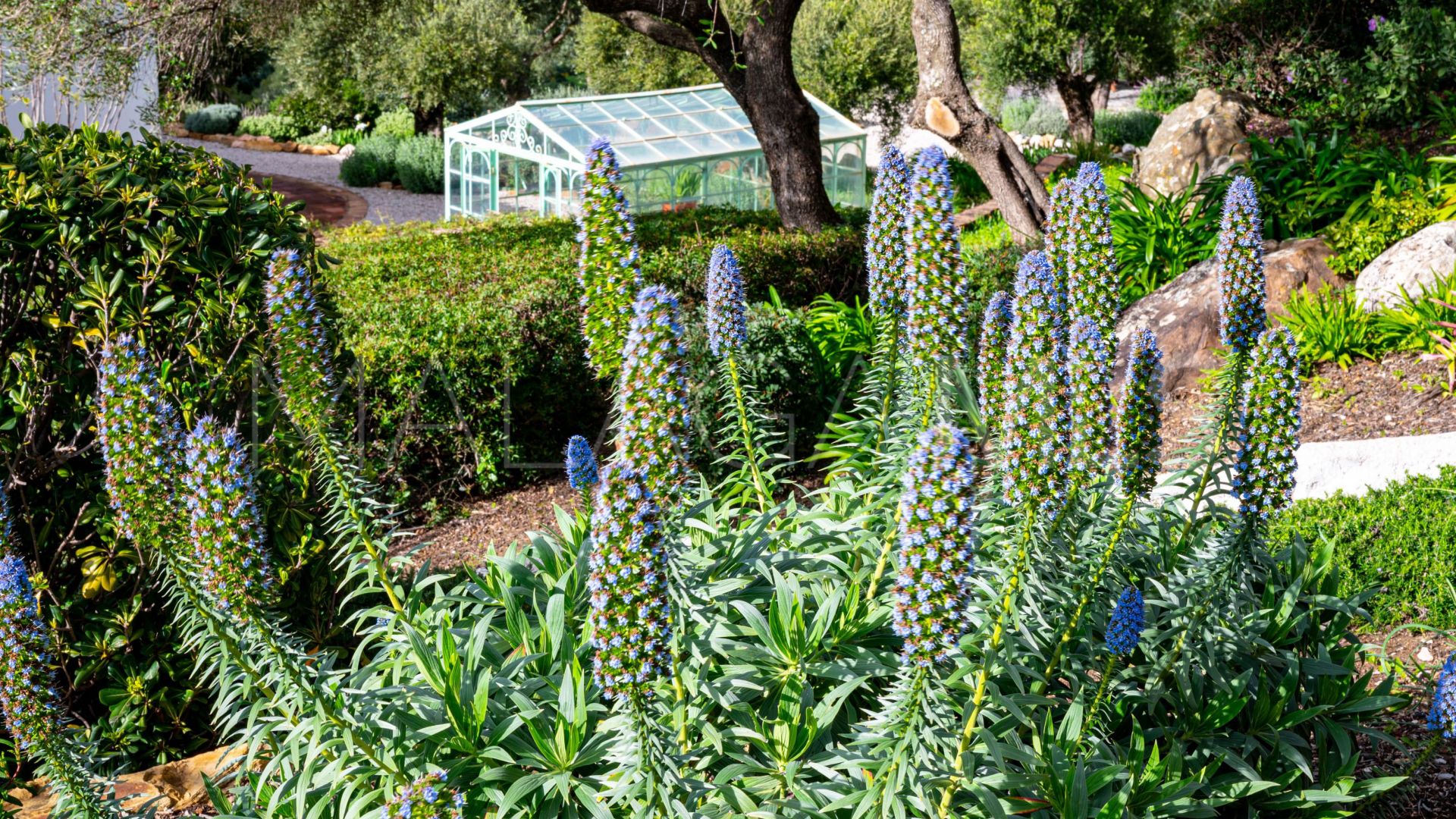 5 bedrooms Casares country house for sale