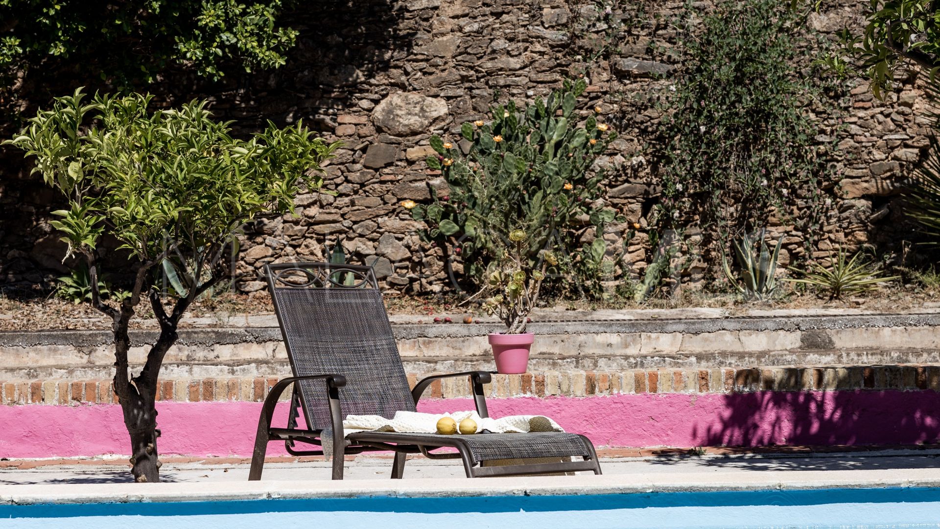 Alora finca for sale
