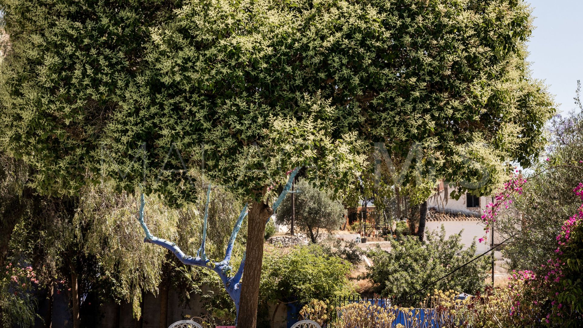 Alora finca for sale