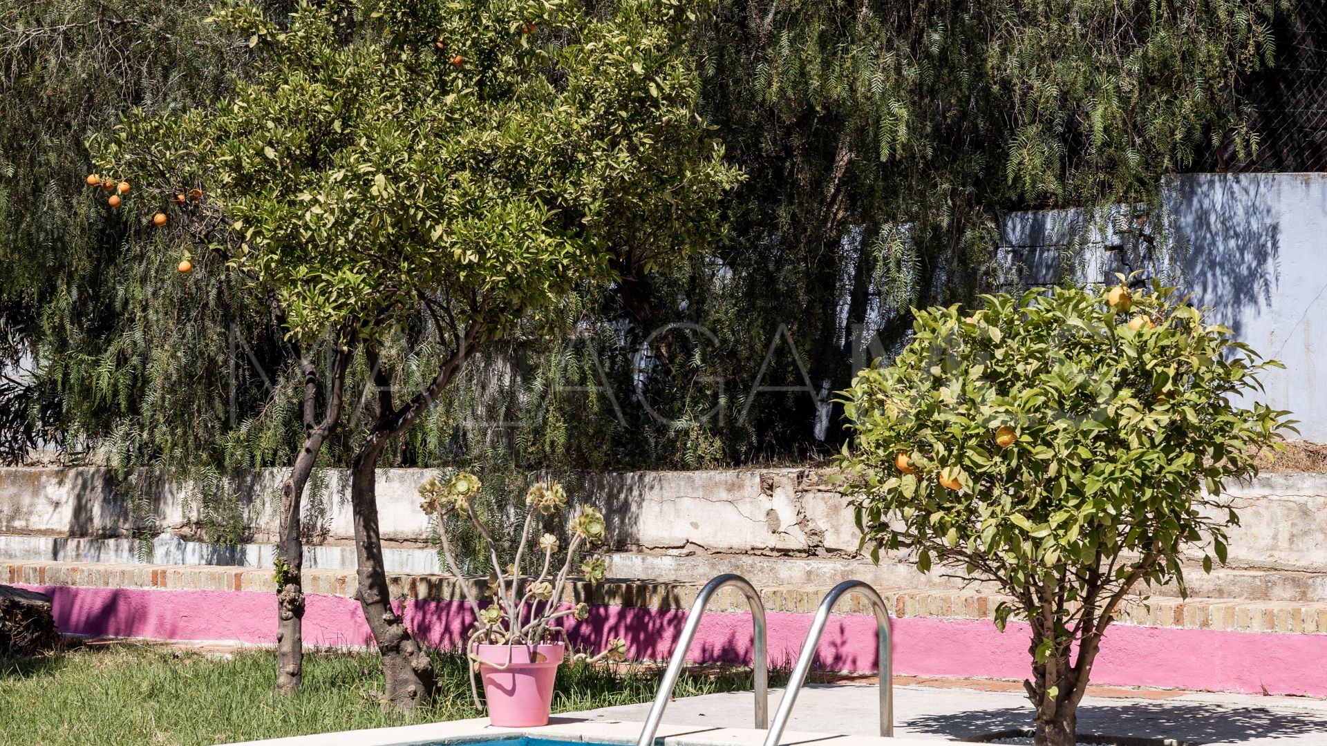 Alora finca for sale
