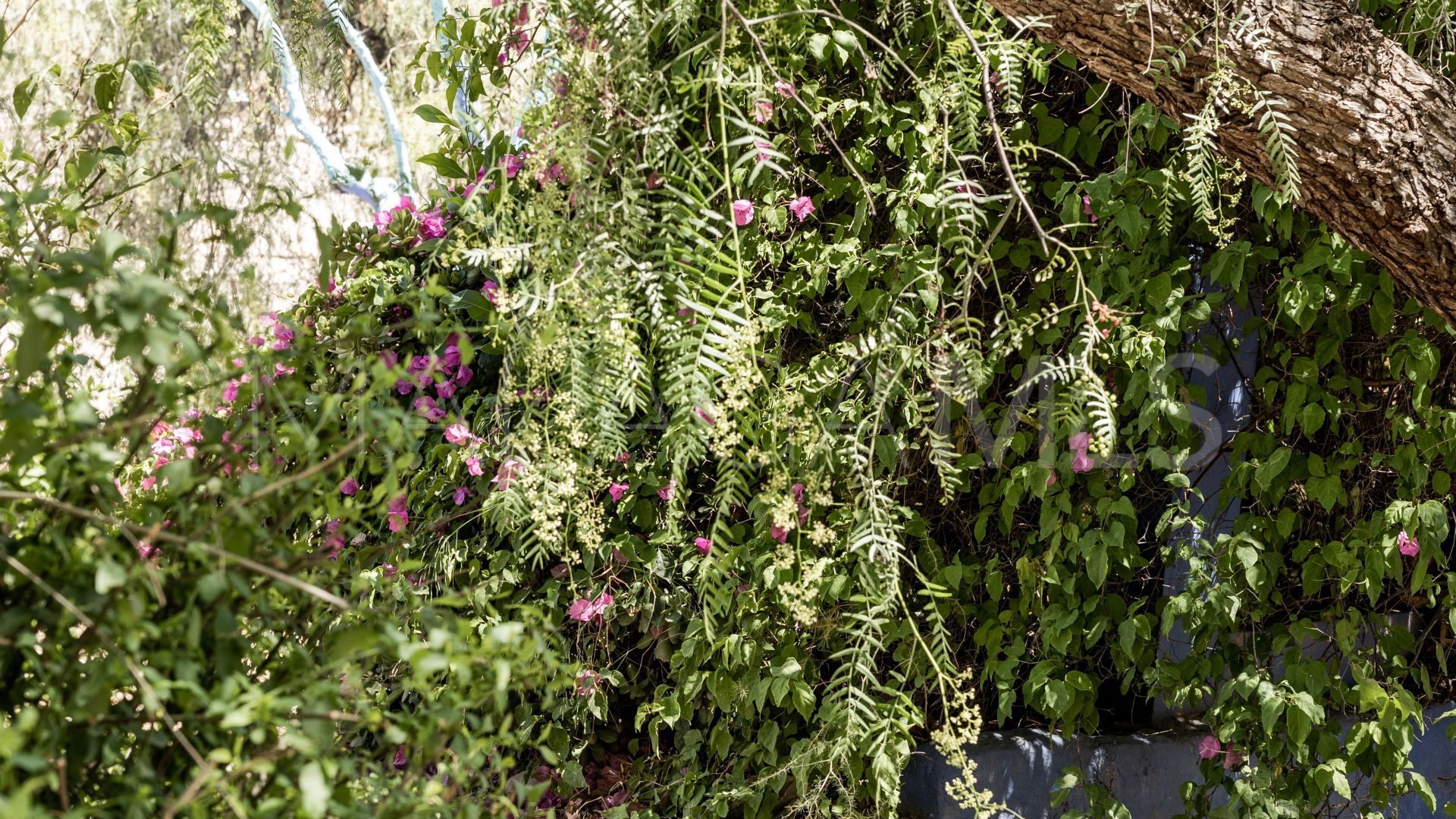 Alora finca for sale