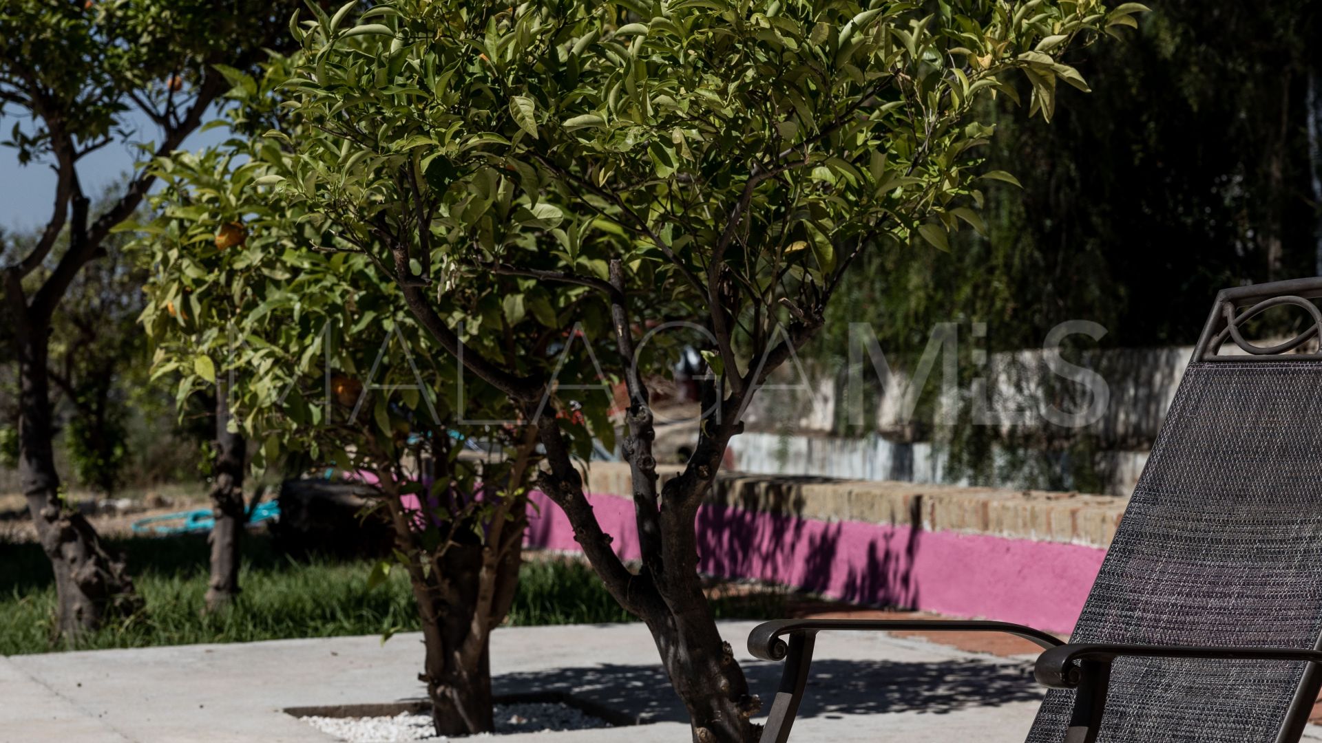 Alora finca for sale