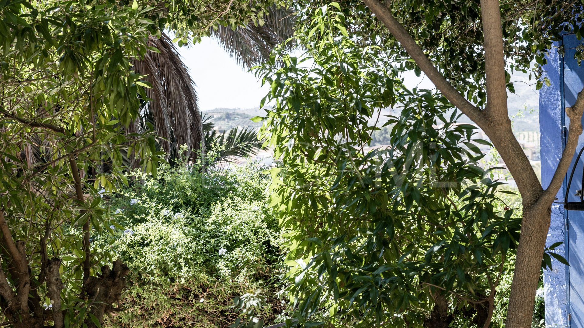 Alora finca for sale