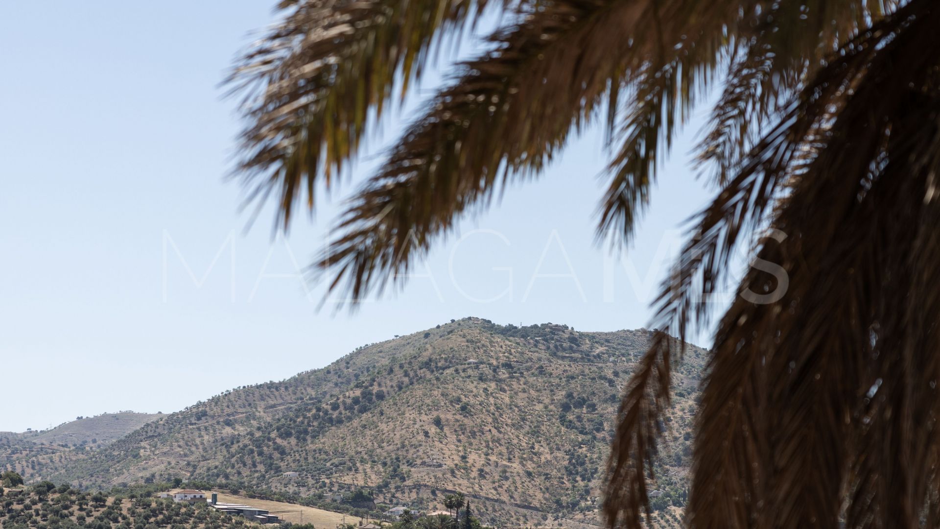 Alora finca for sale