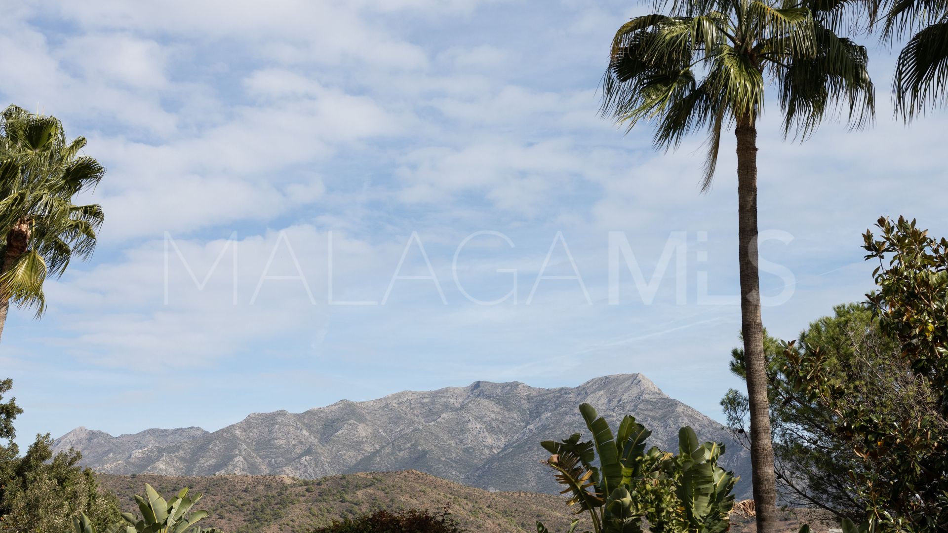 Villa for sale in El Madroñal
