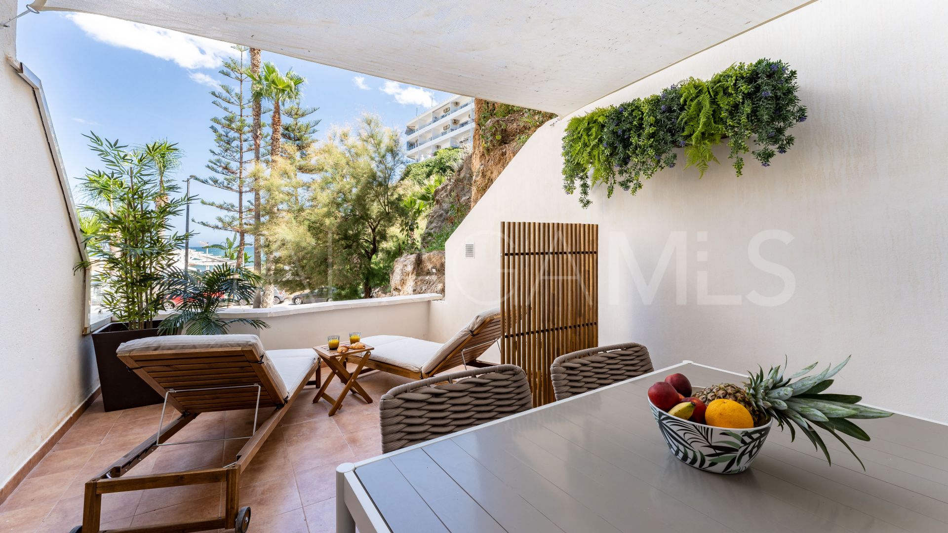 Buy La Carihuela apartment