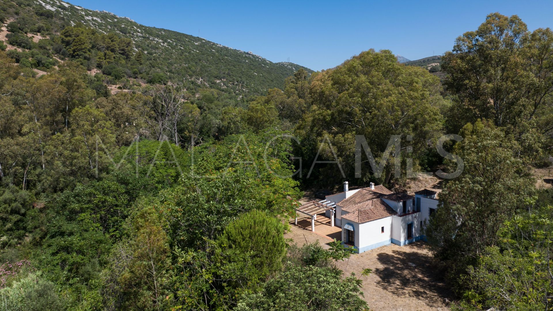 Buy villa in Casares