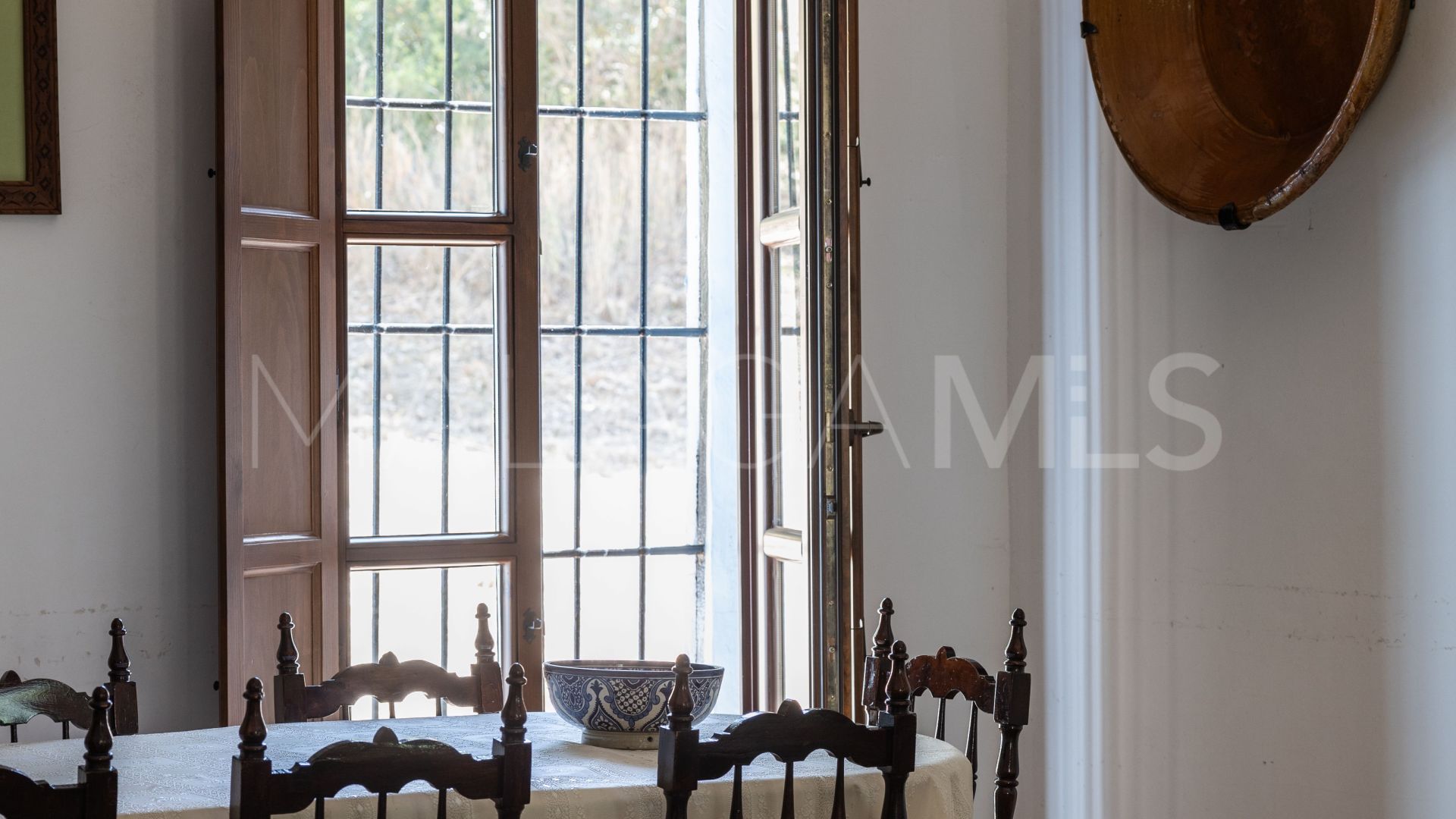 Buy villa in Casares