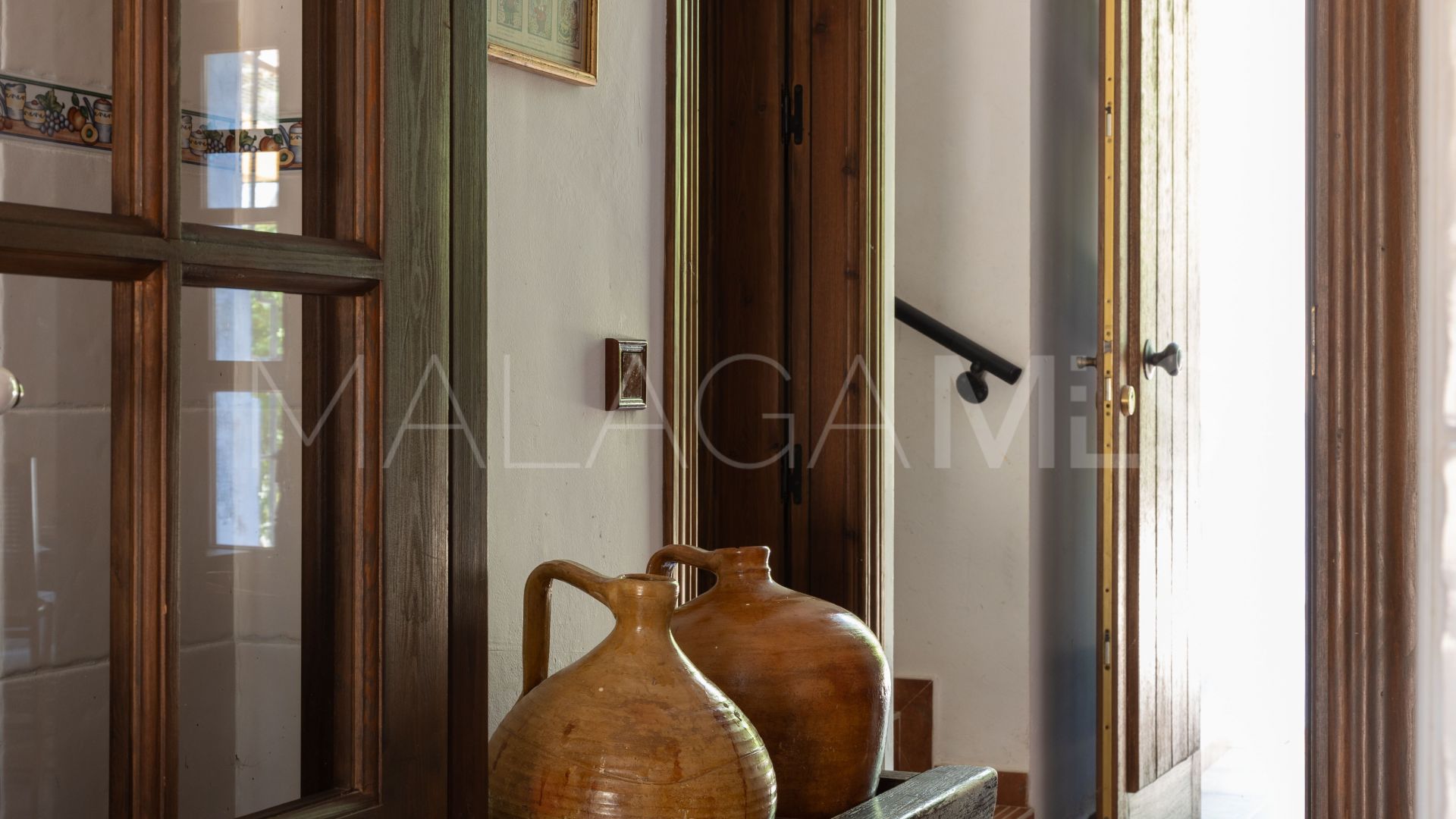 Buy villa in Casares