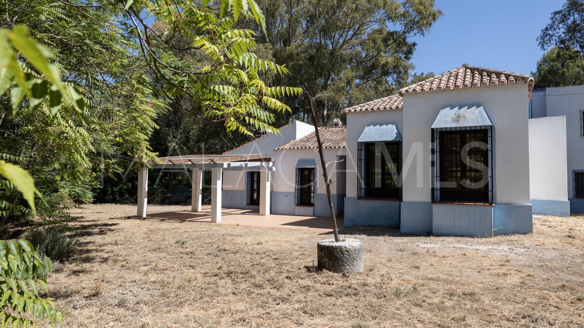 Buy villa in Casares