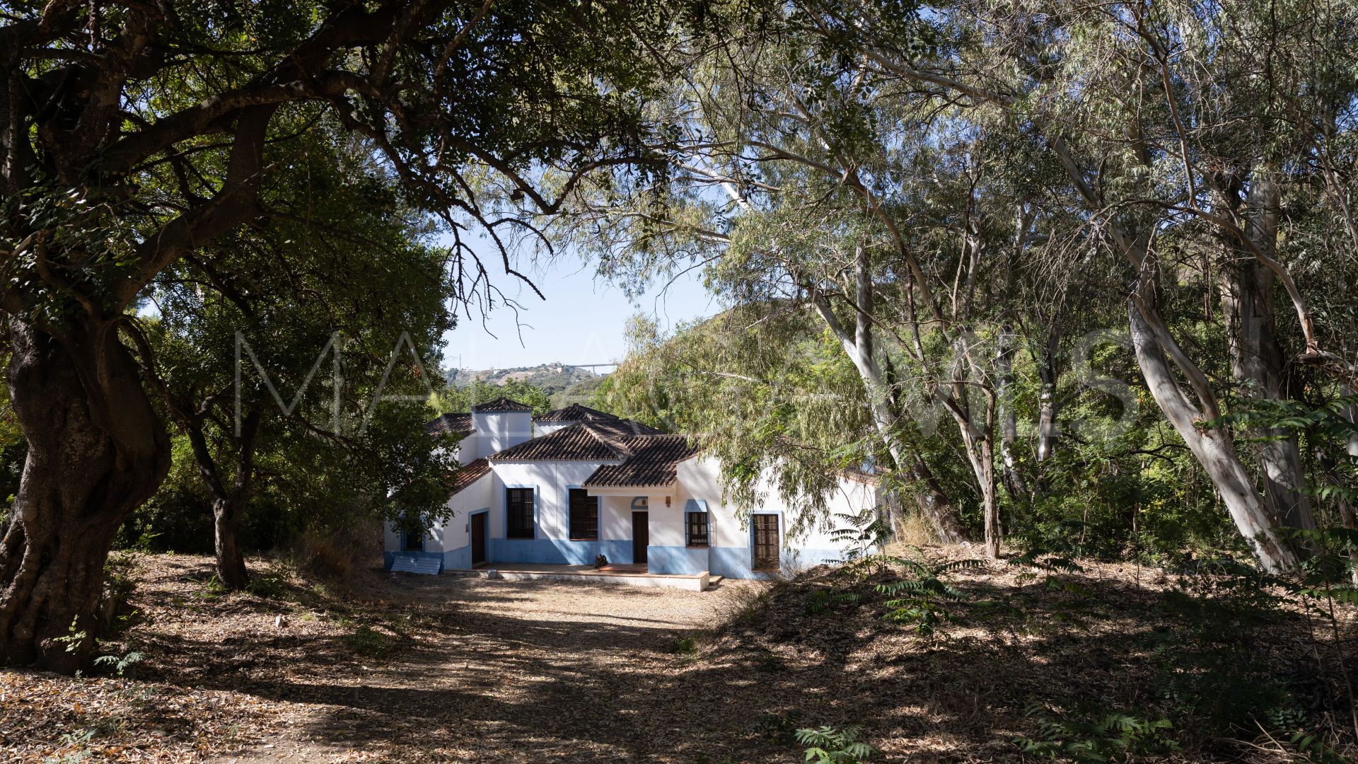 Buy villa in Casares