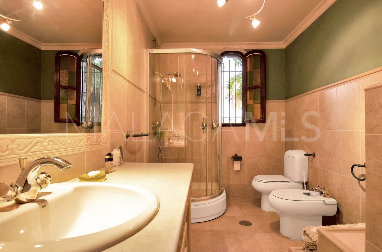 Villa in Paraiso Alto for sale