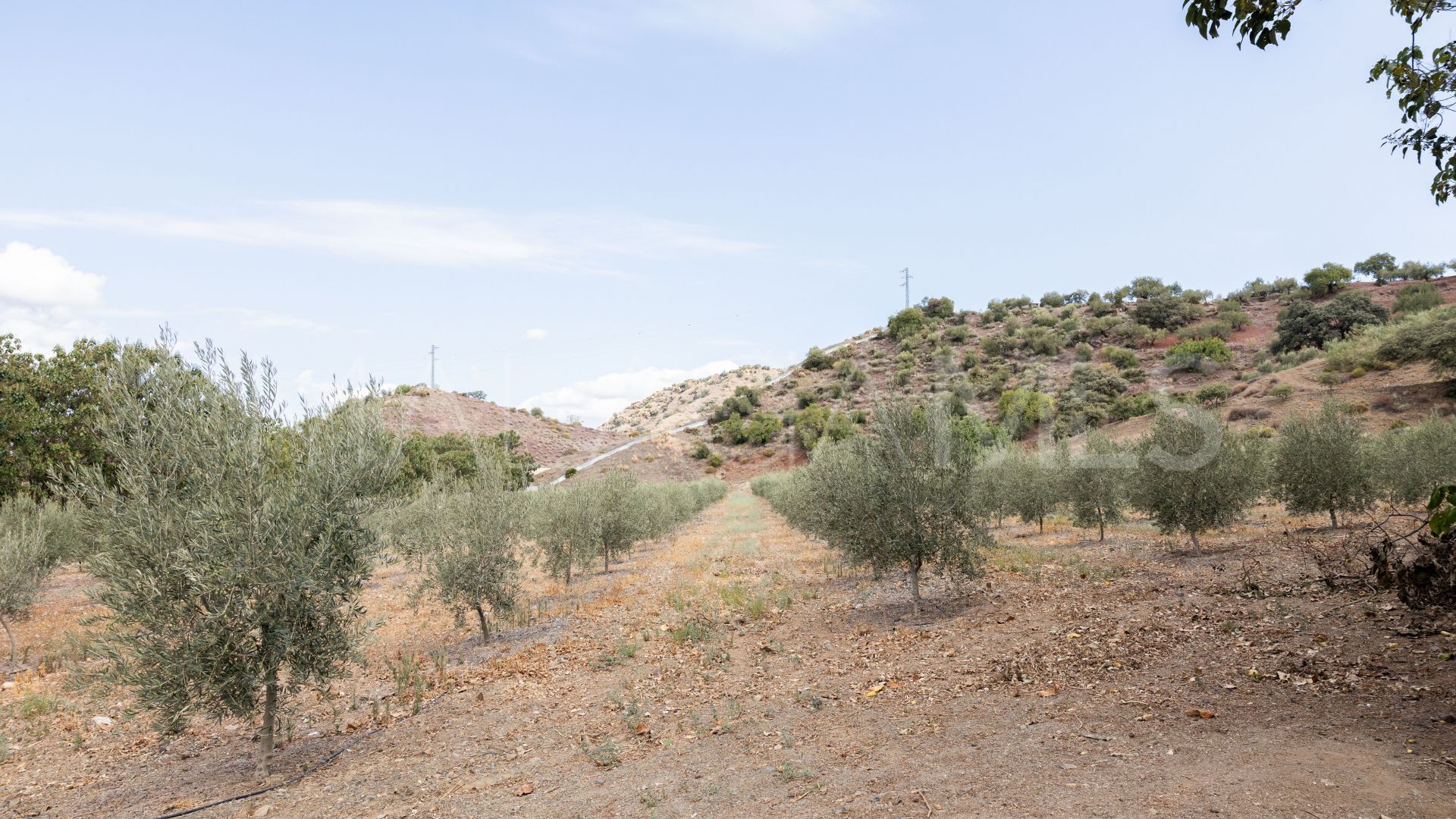 Ferme for sale in Malaga